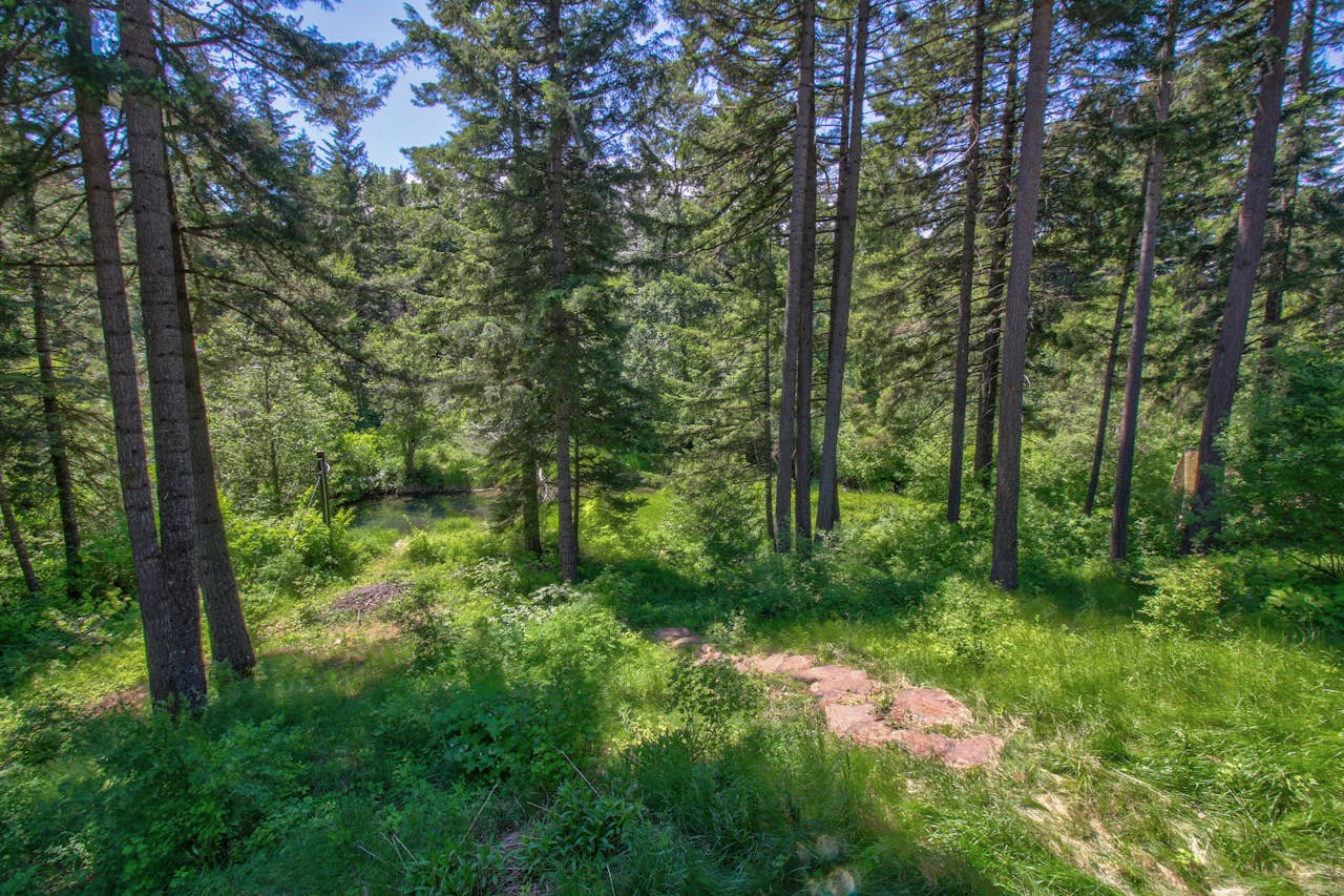 Elk Meadows Escape 2 BD Vacation Rental in Cle Elum, WA Vacasa