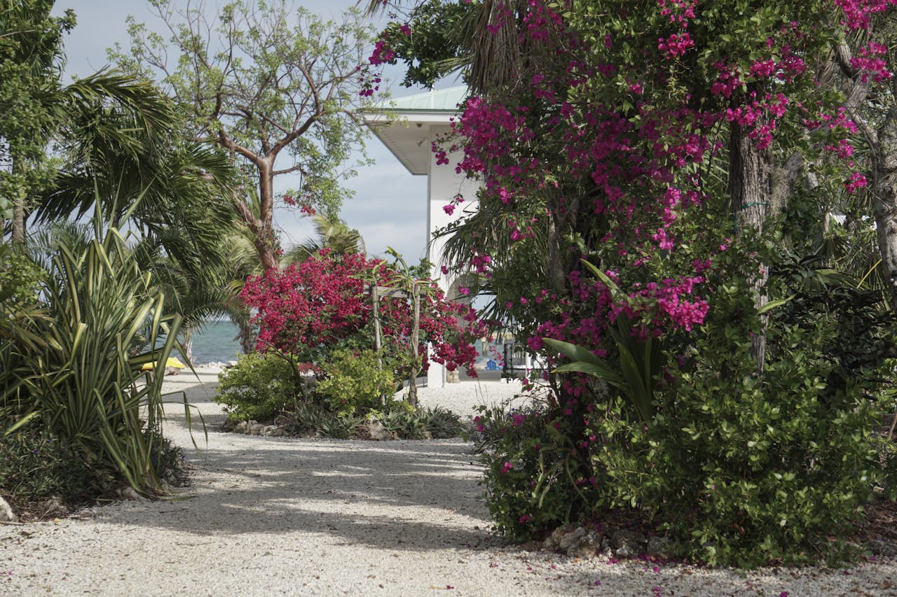 Million Dollar View 4 Bd Vacation Rental In Marathon Fl