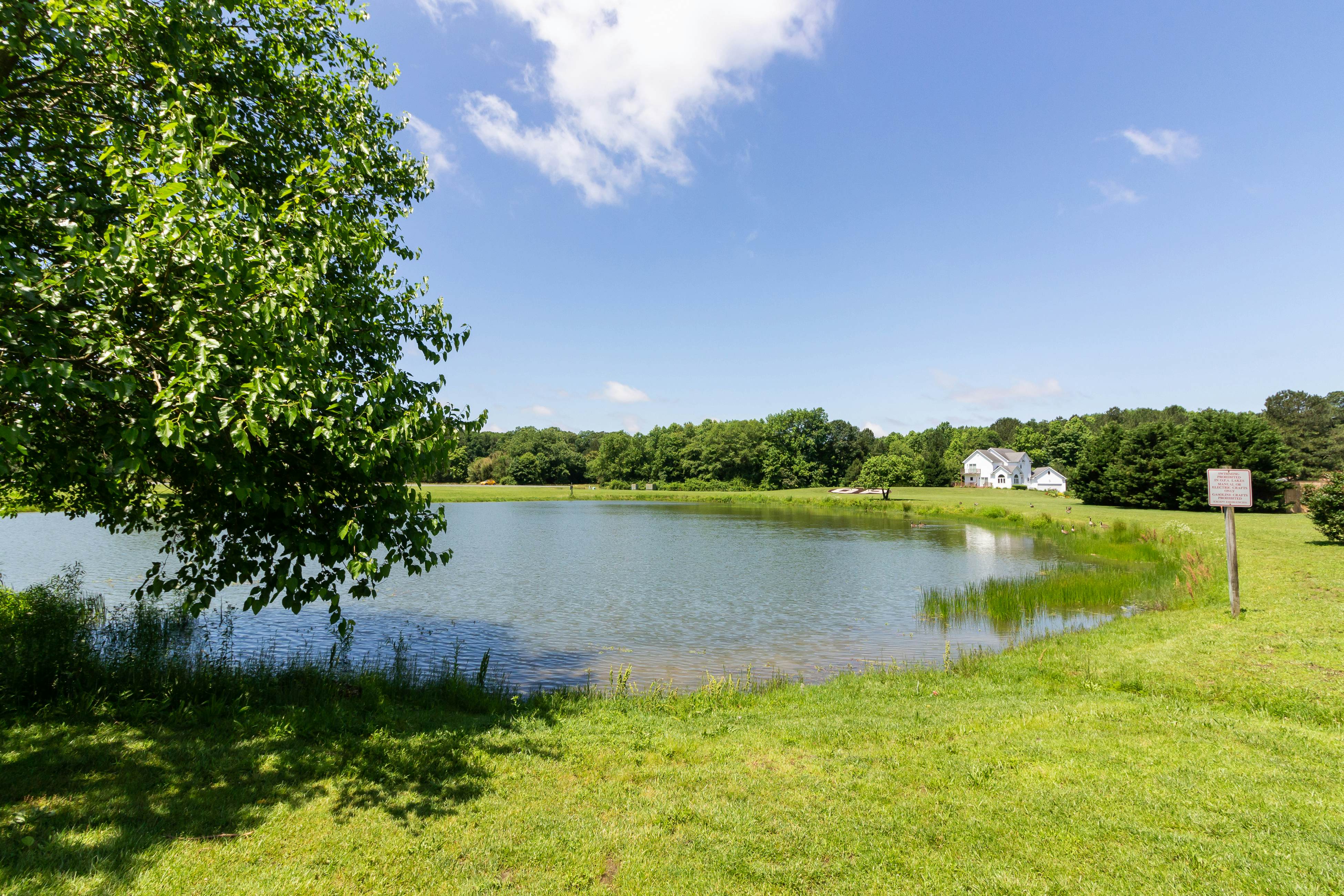 Seabreeze in Ocean Pines