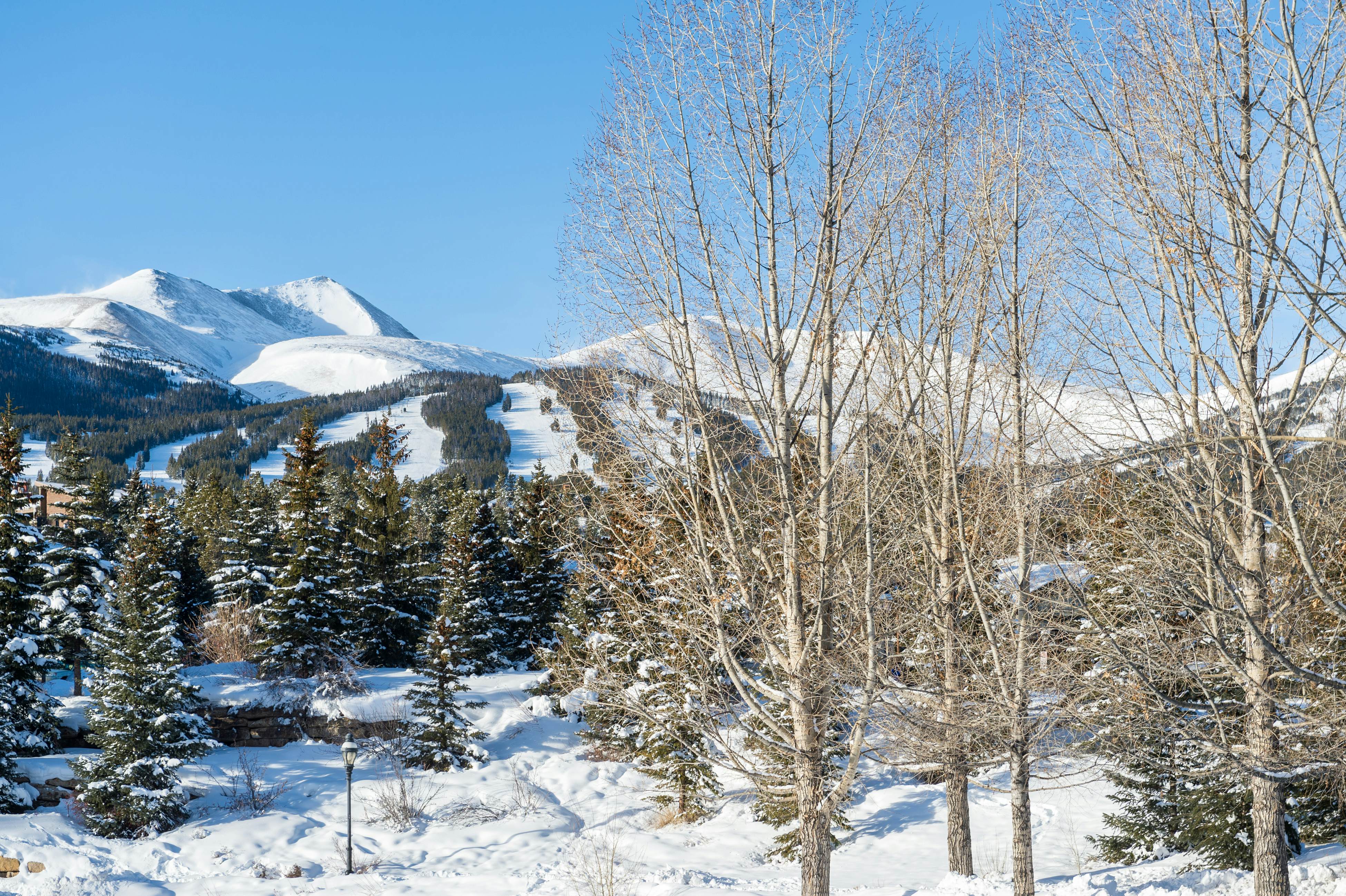 Breckenridge Cabins, Vacation Rentals, Condos, Ski Cabins Vacasa