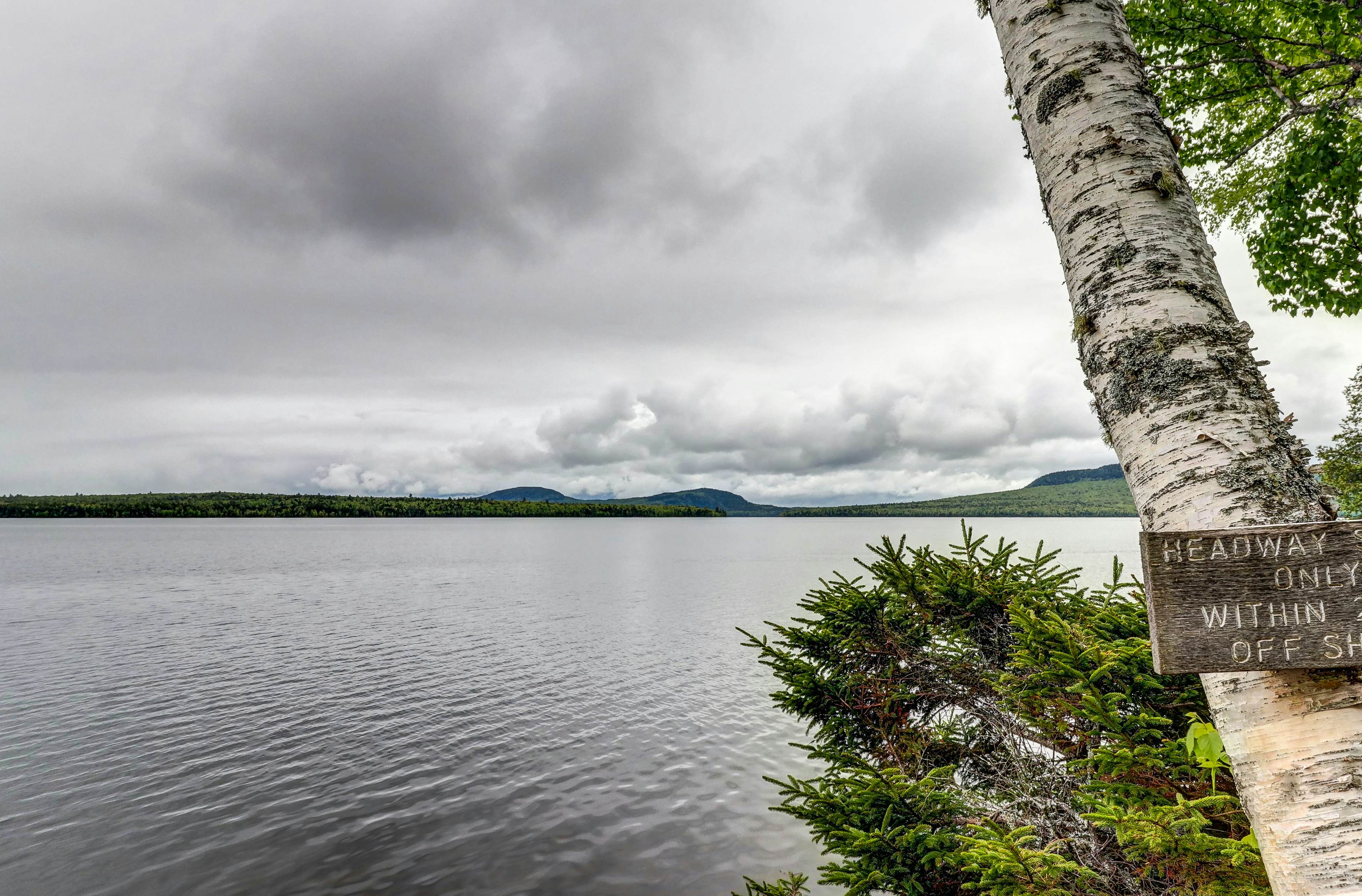 Perfect as a Picture