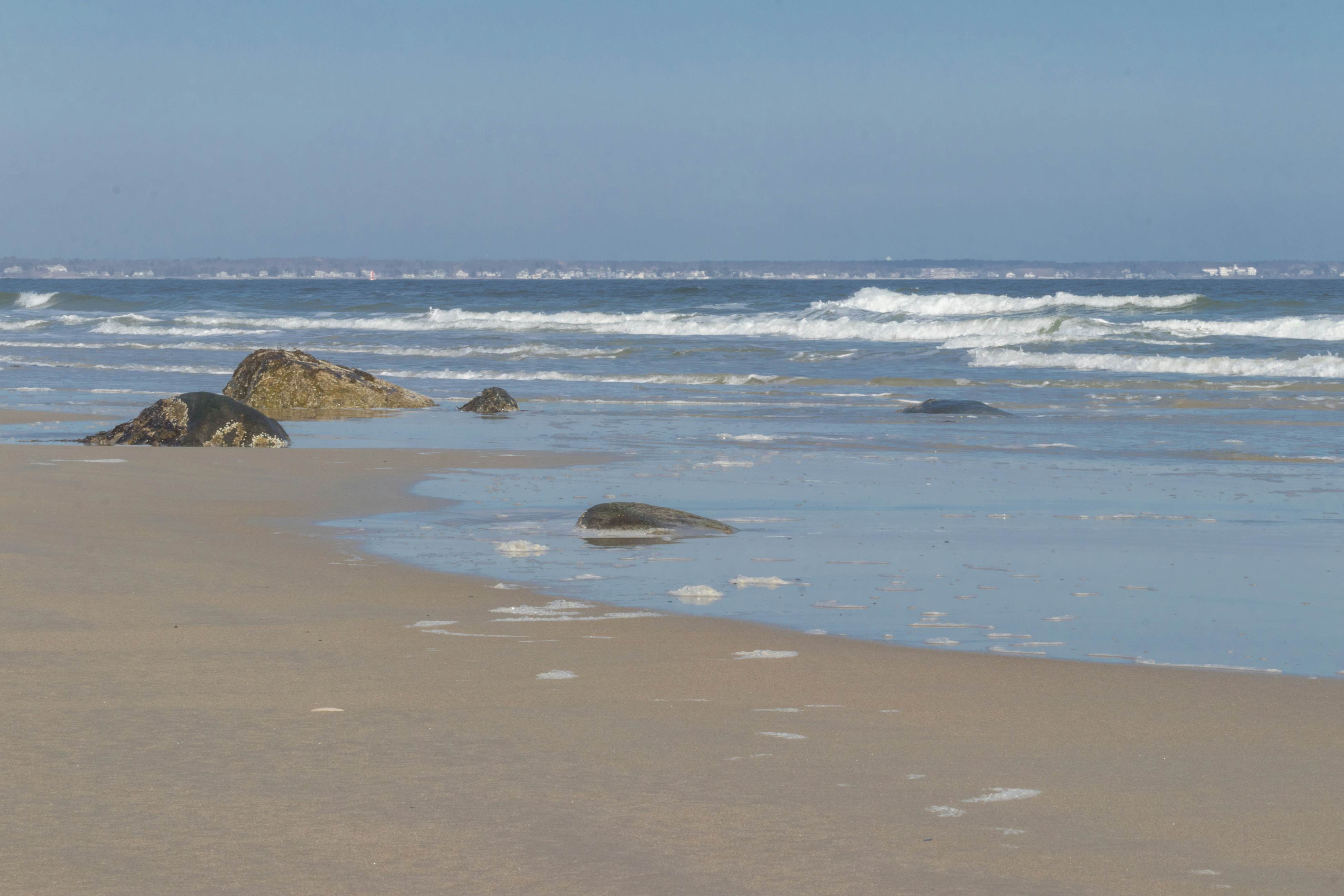 Quintessential Room by the Sea - Holiday House #M8