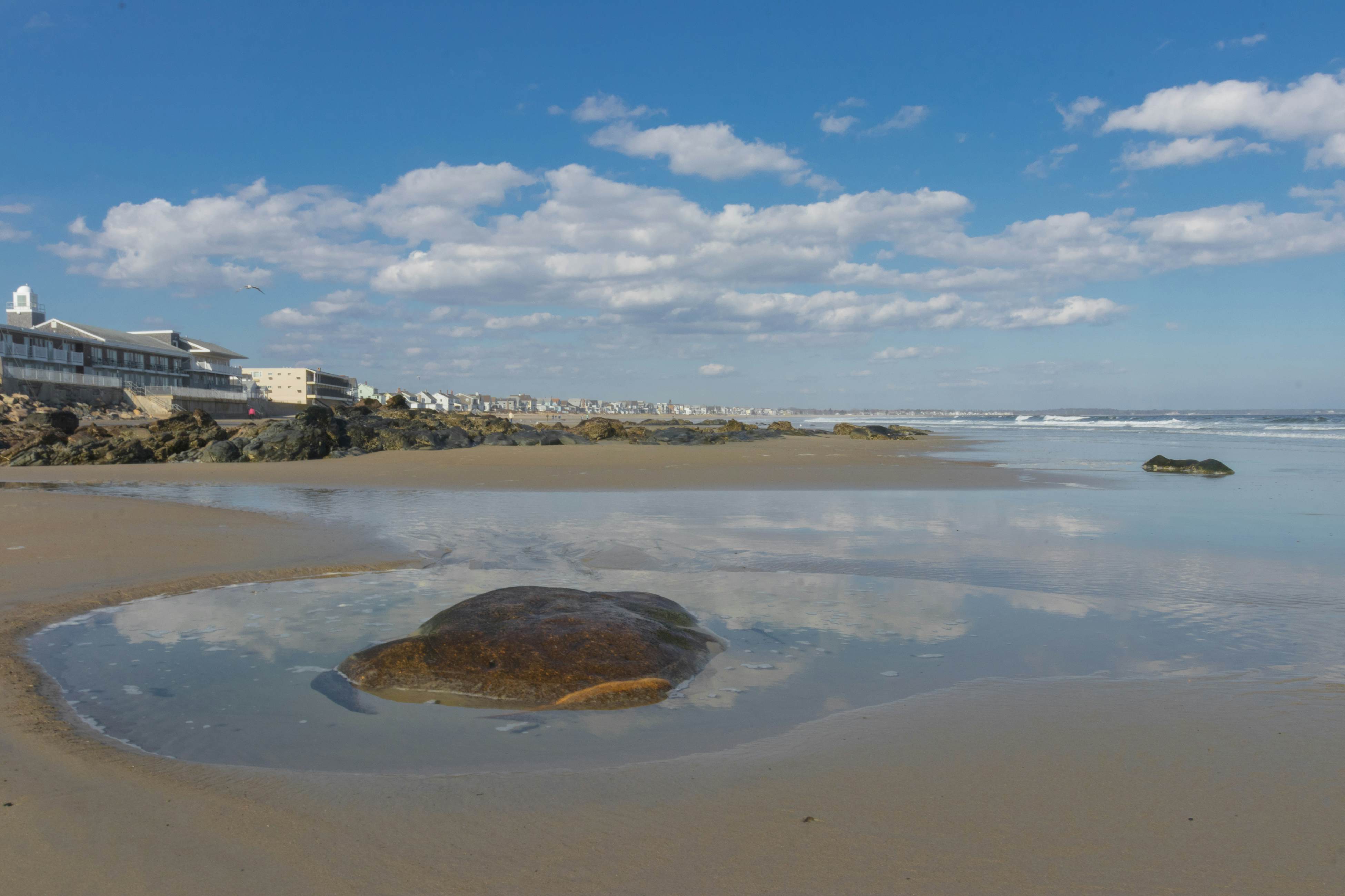 Quintessential Room by the Sea - Holiday House #M8