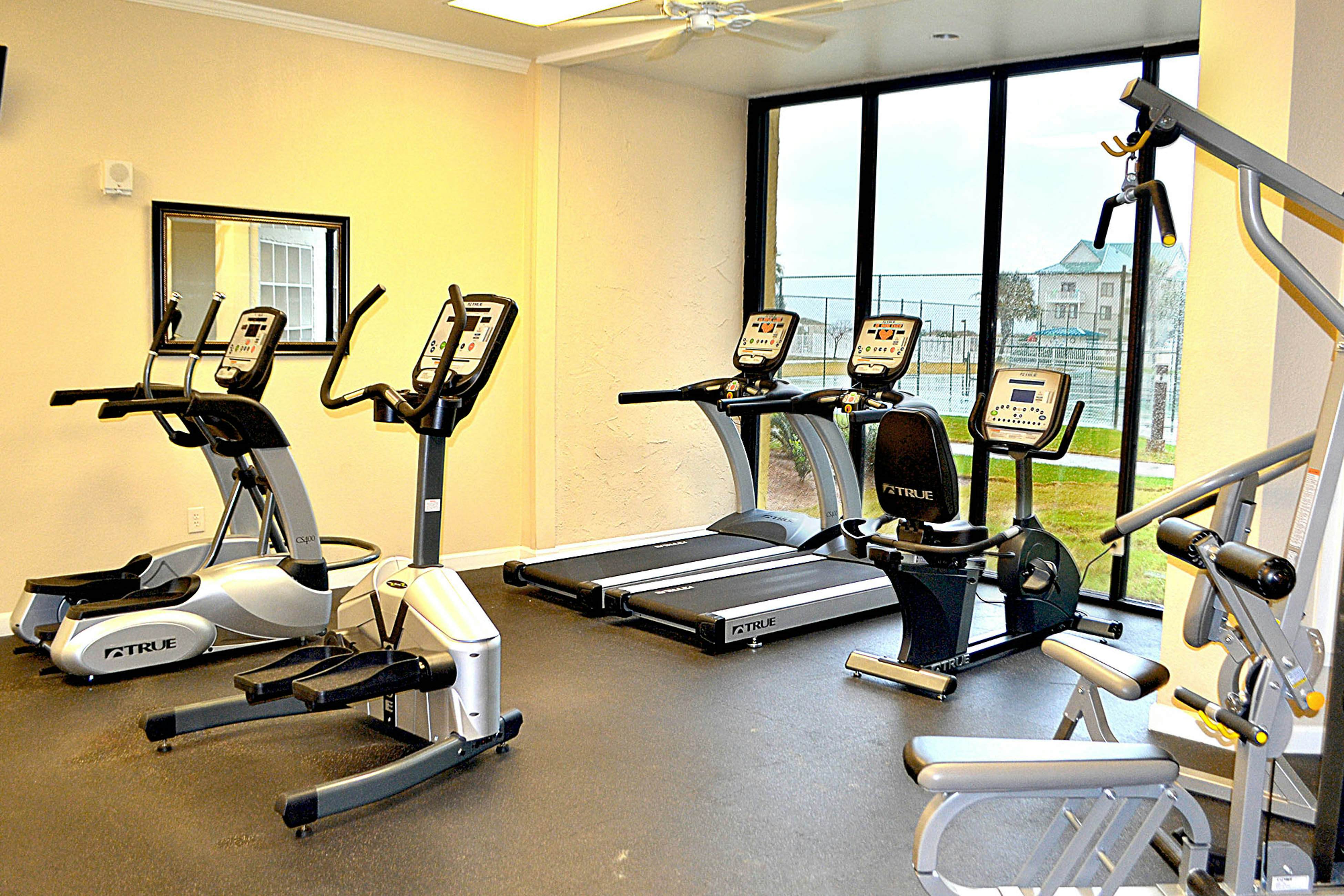 Plantation Palms #6211