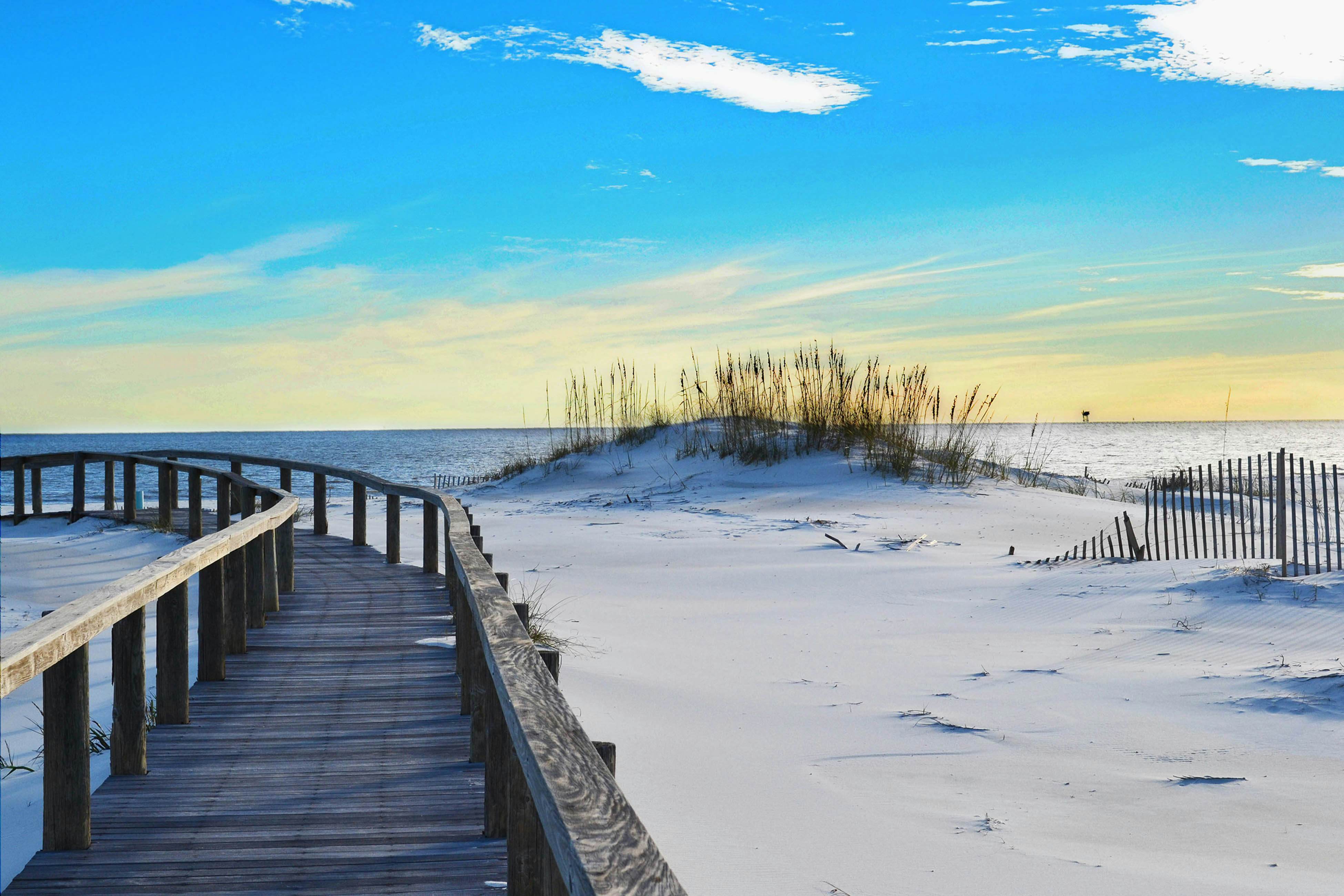 Plantation Dunes #5101