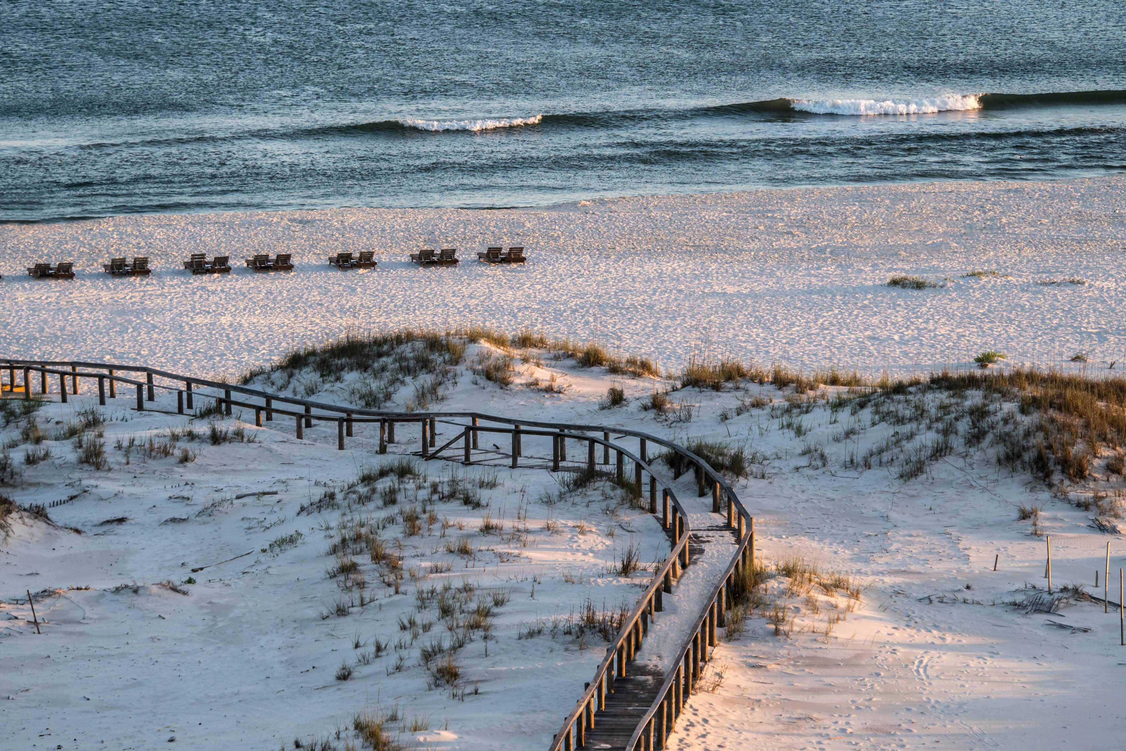 Plantation Dunes #5101