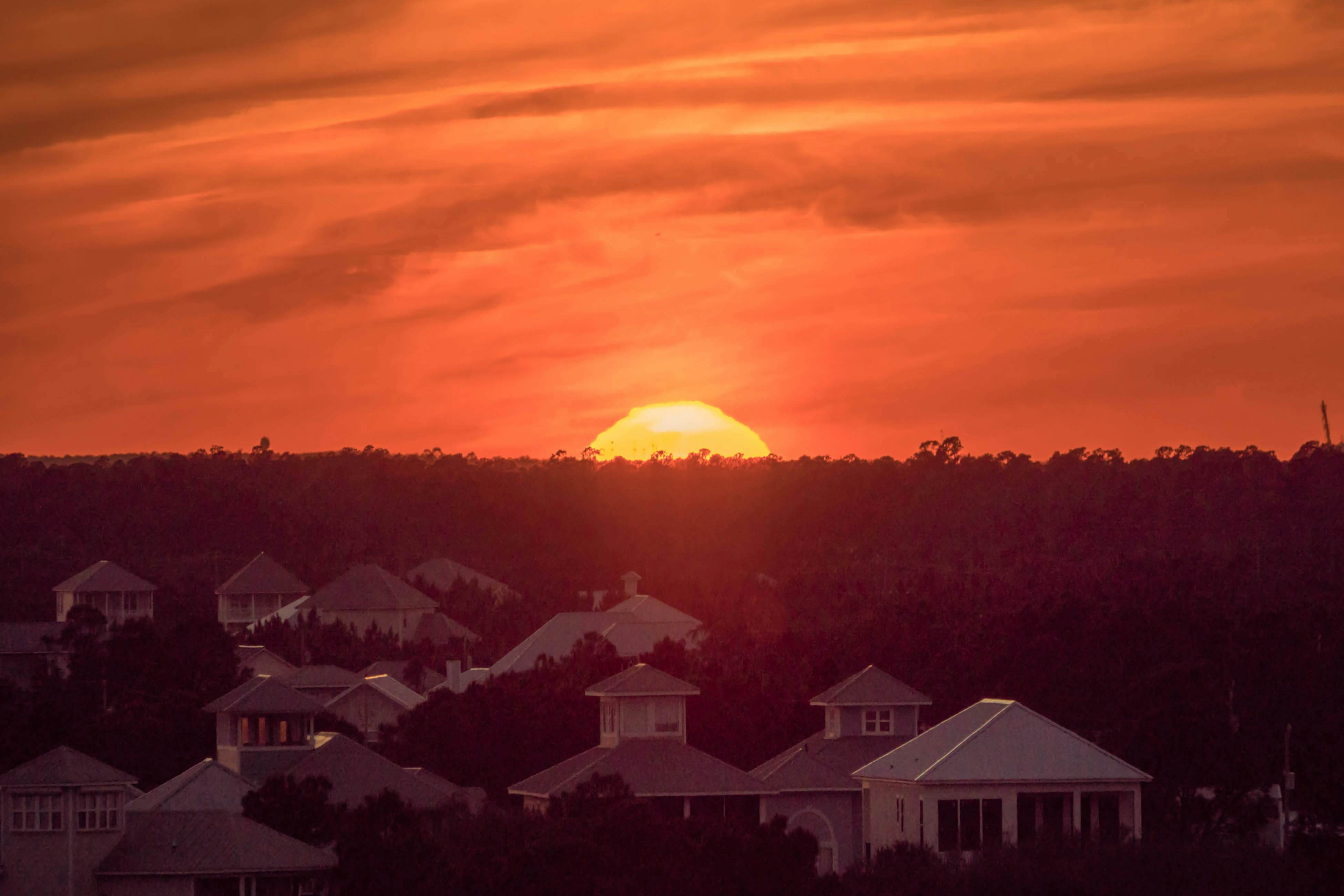Plantation Dunes #5101