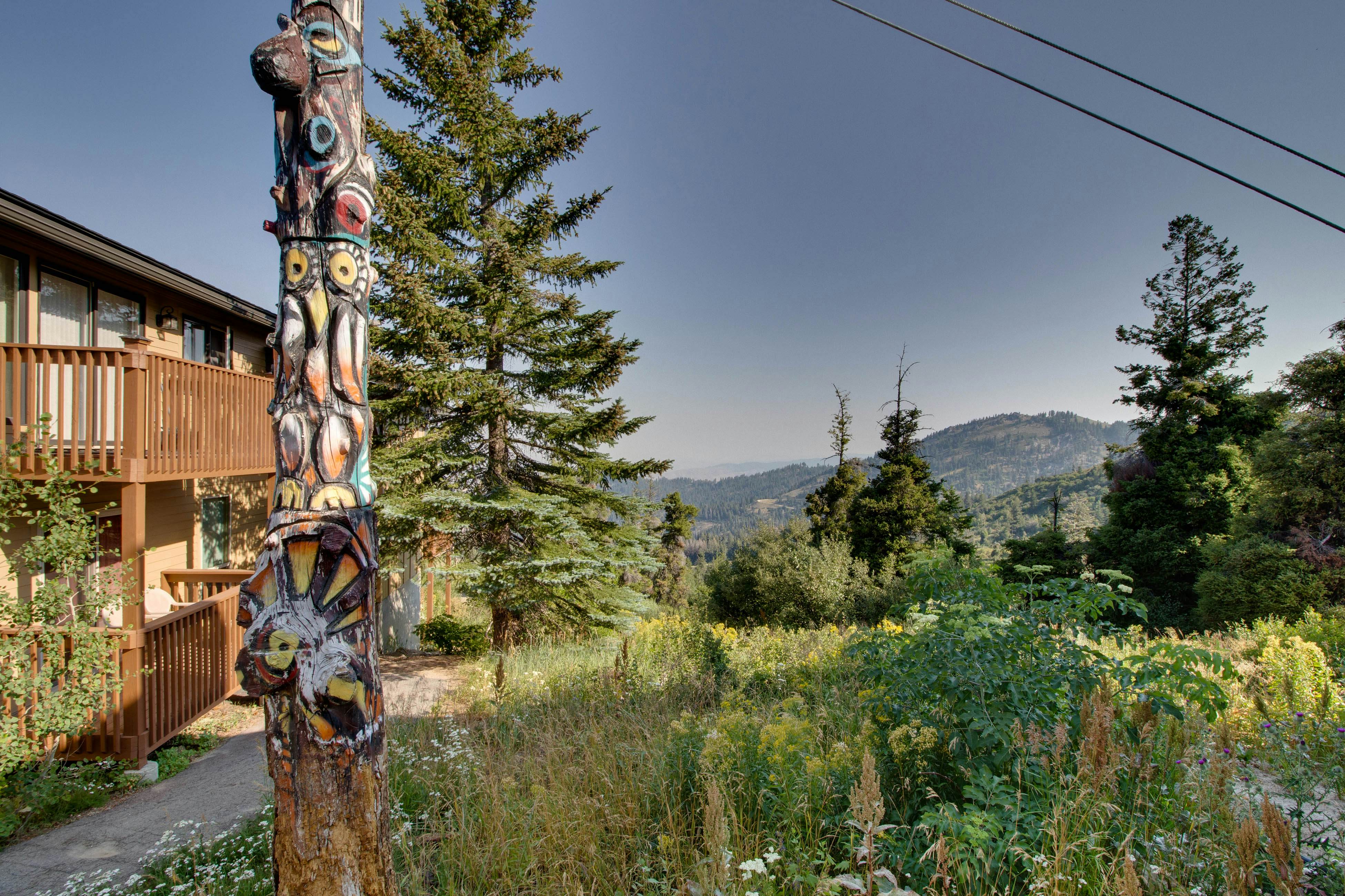 Pioneer Vista -246 F