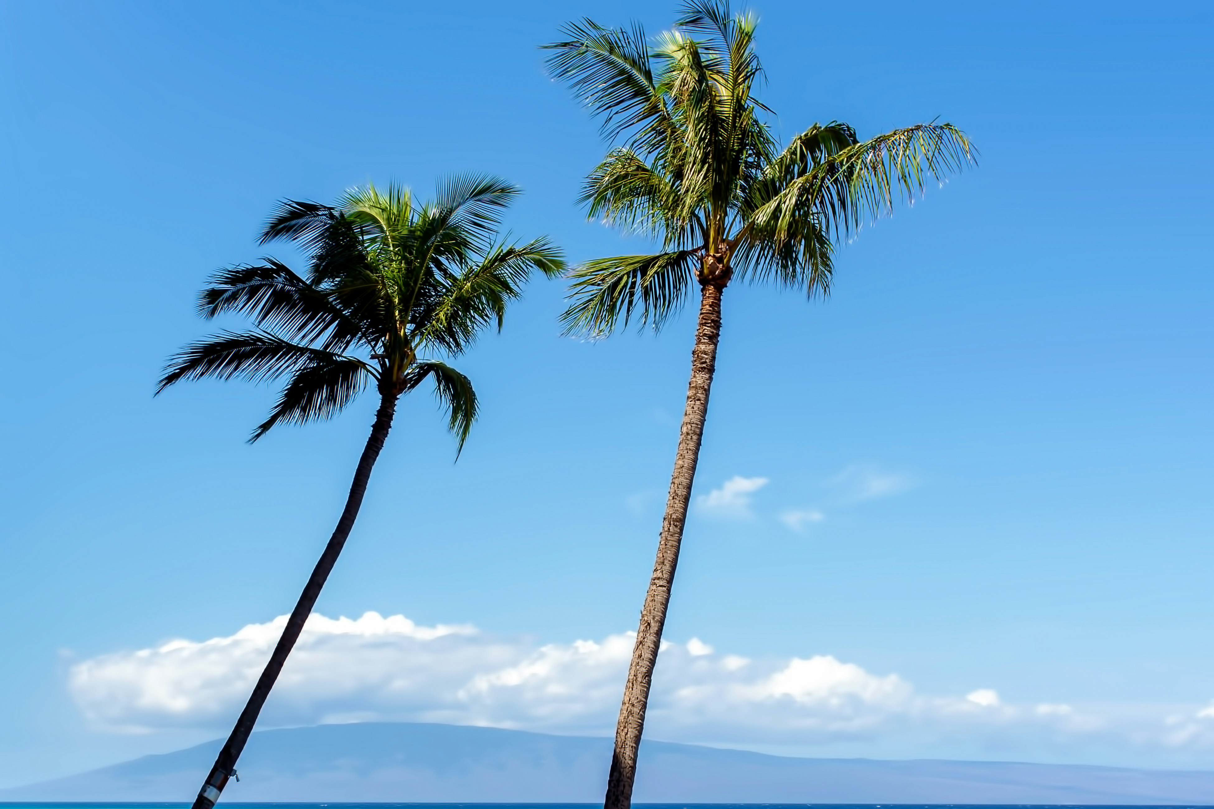 Valley Isle Resort 309