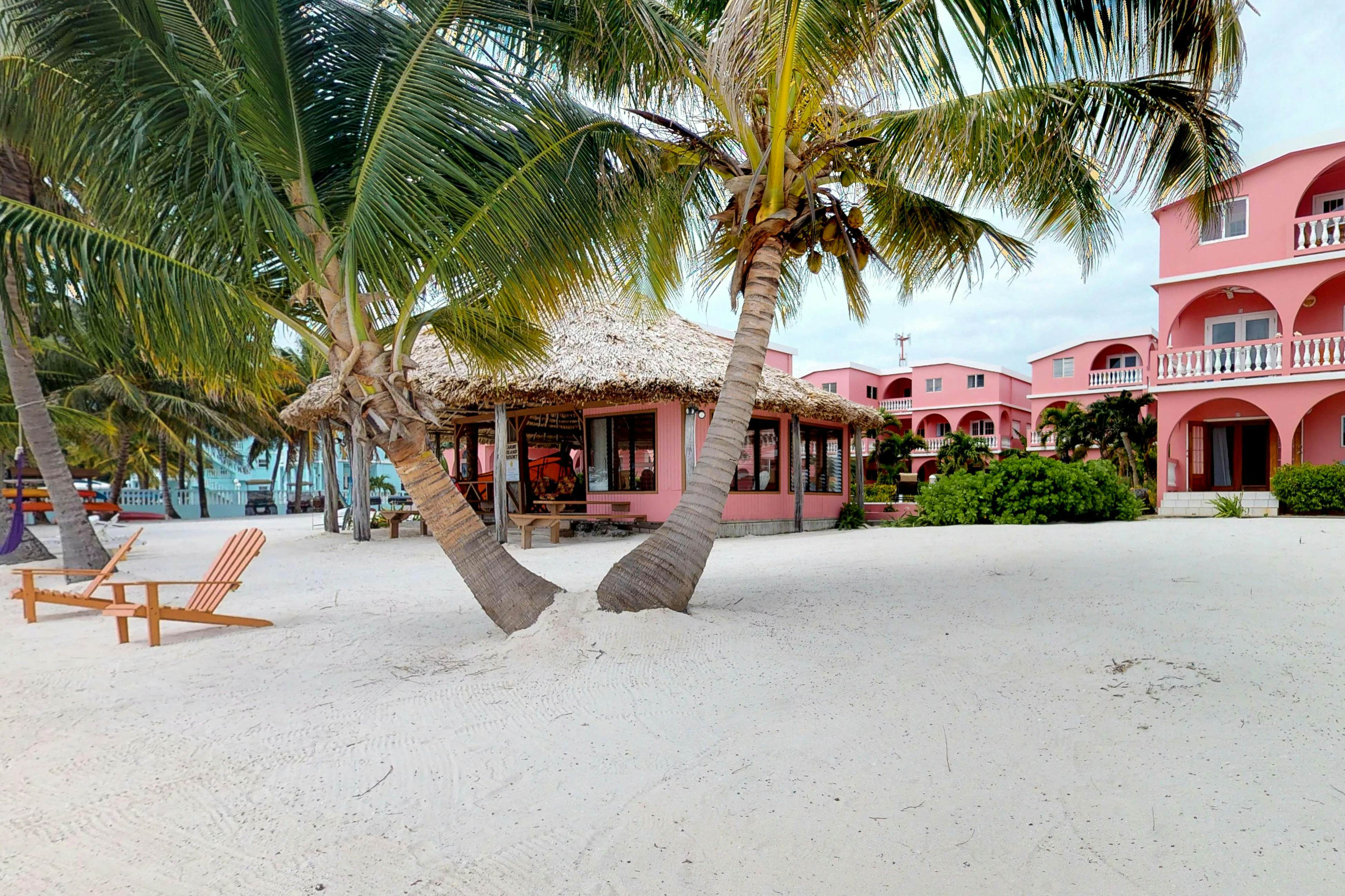 Caribbean Lily #24 at Caribe Island  -Gold Standard Certified