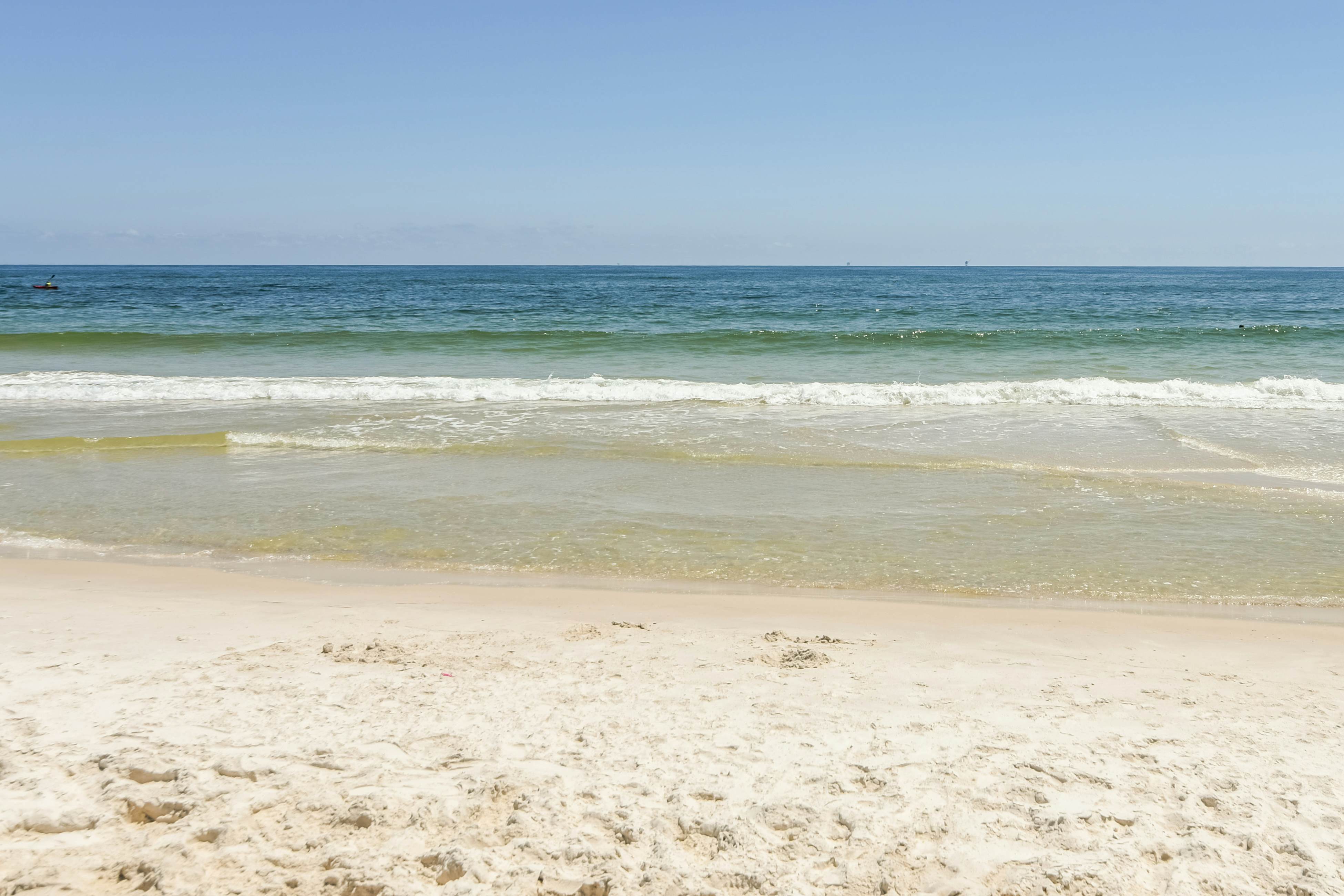 Plantation Palms #6211