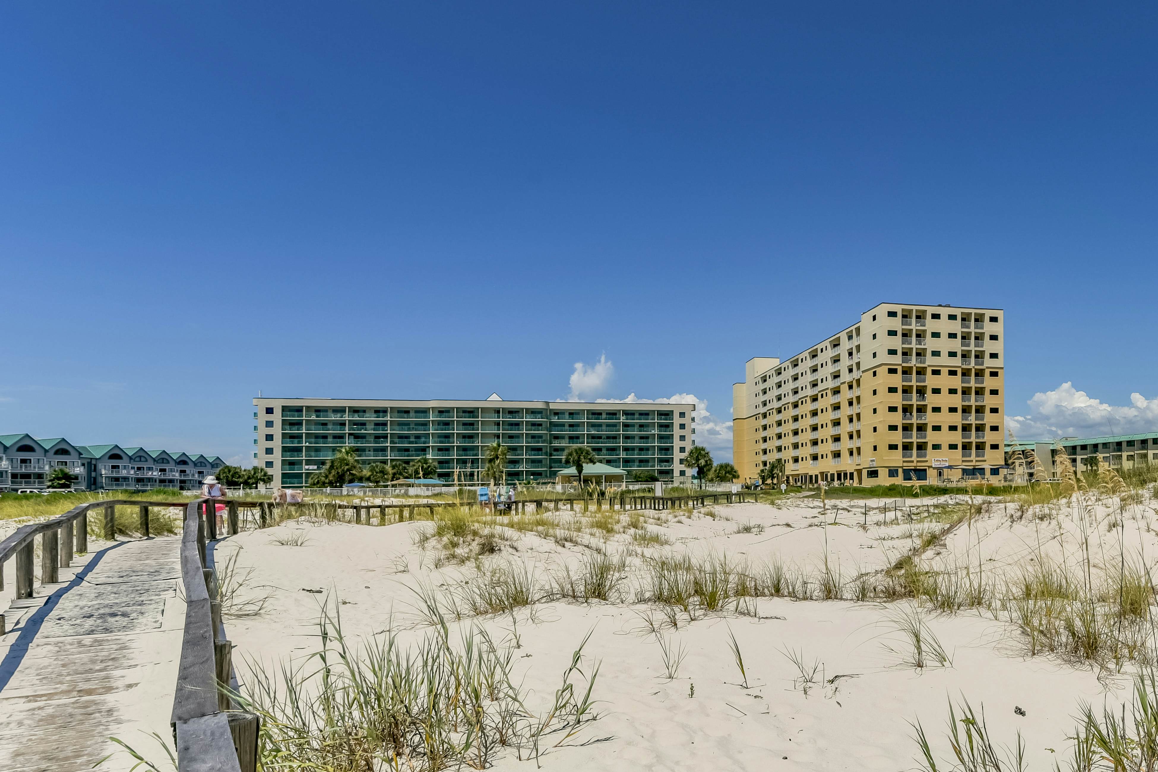 Plantation Palms #6211