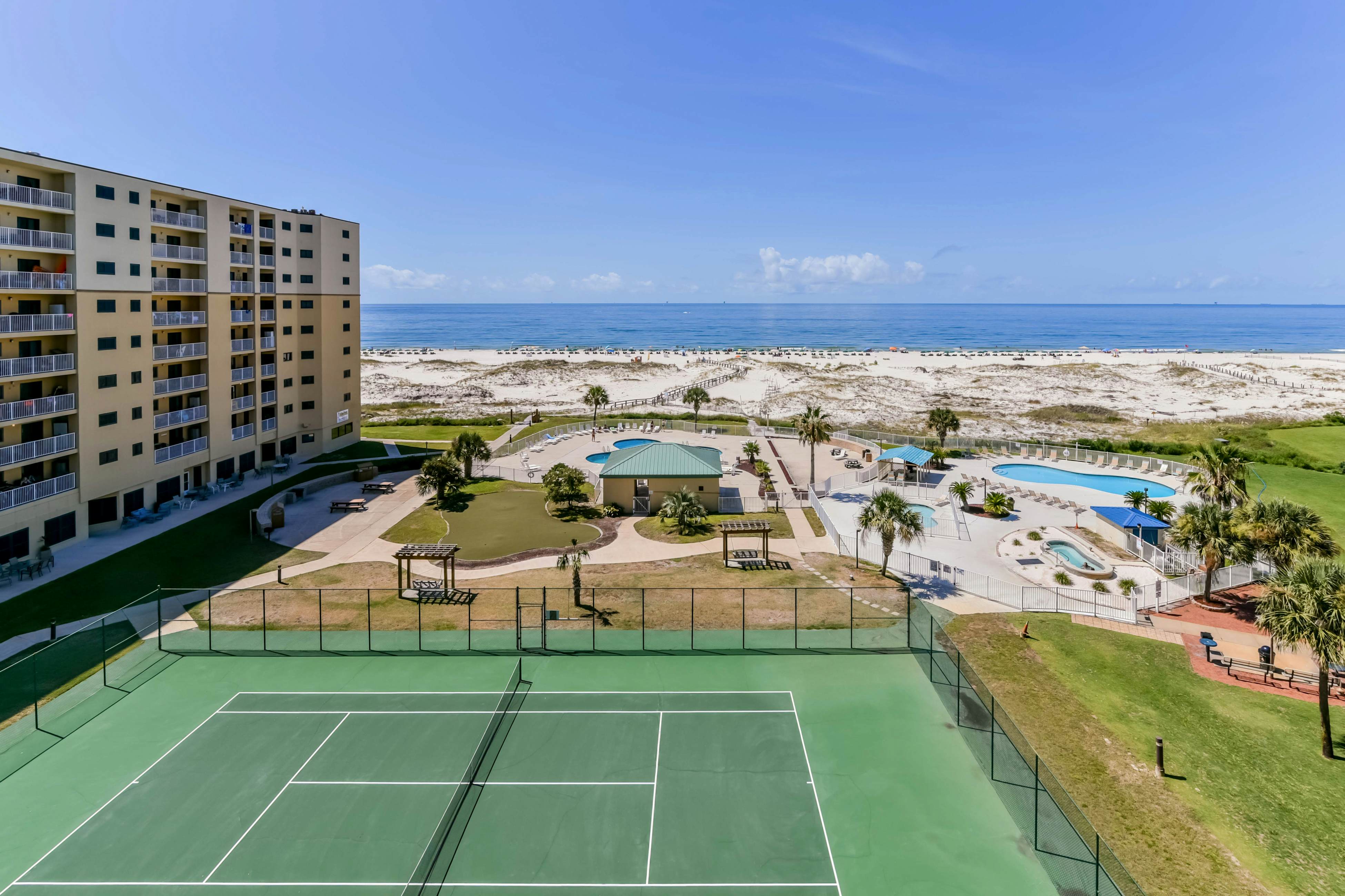 Plantation Palms #6211