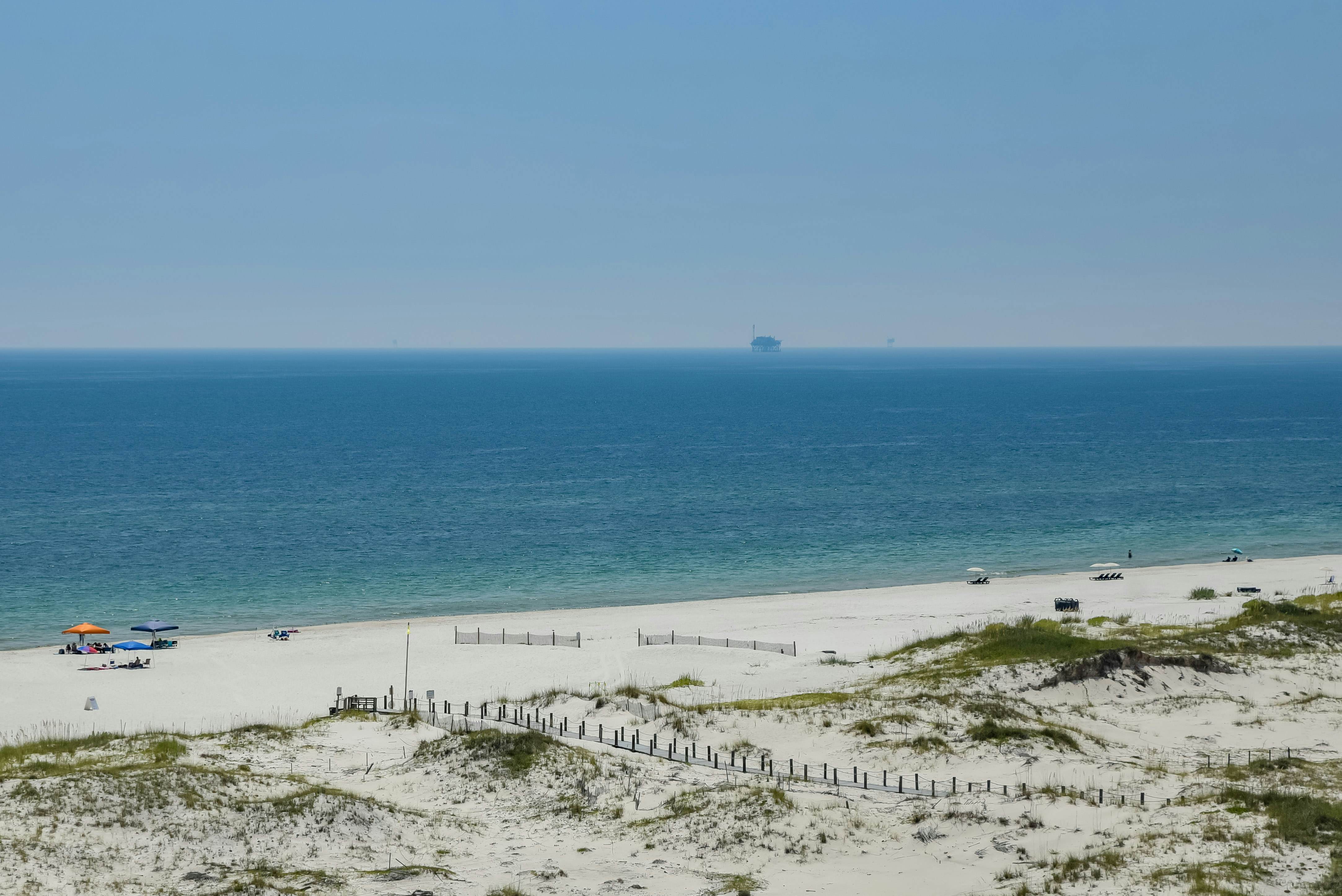 Plantation Dunes #5101