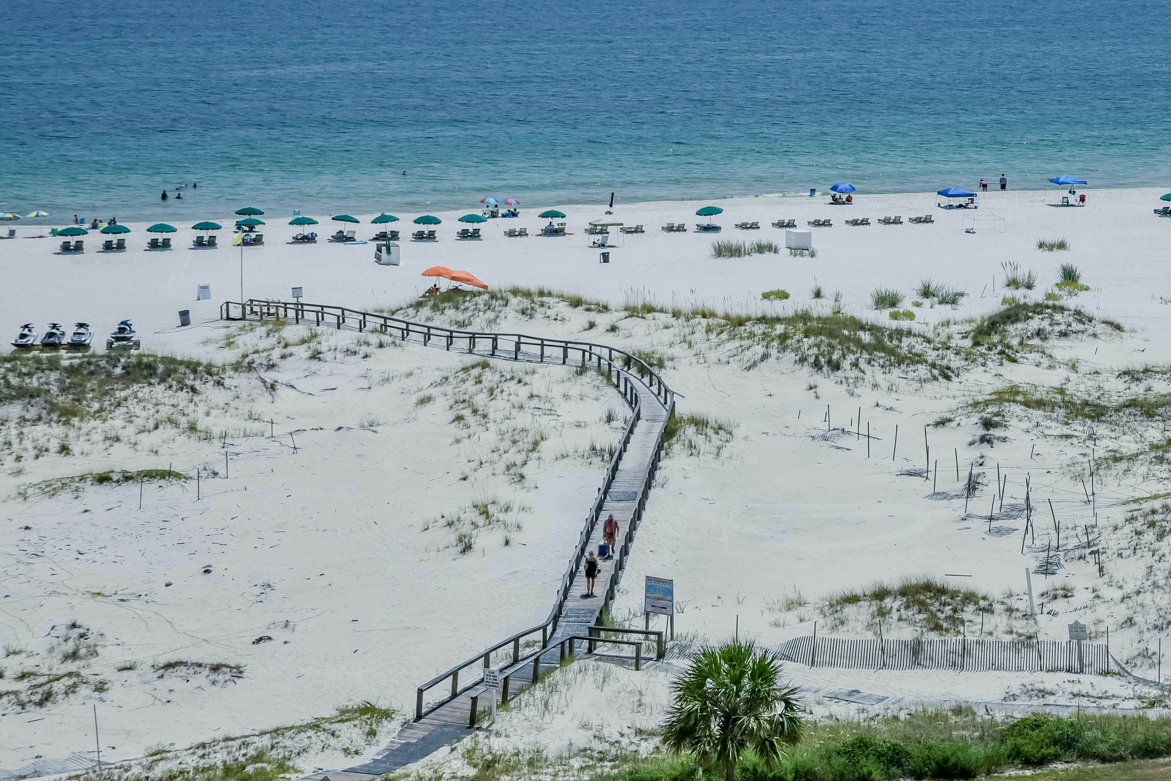 Plantation Dunes #5101