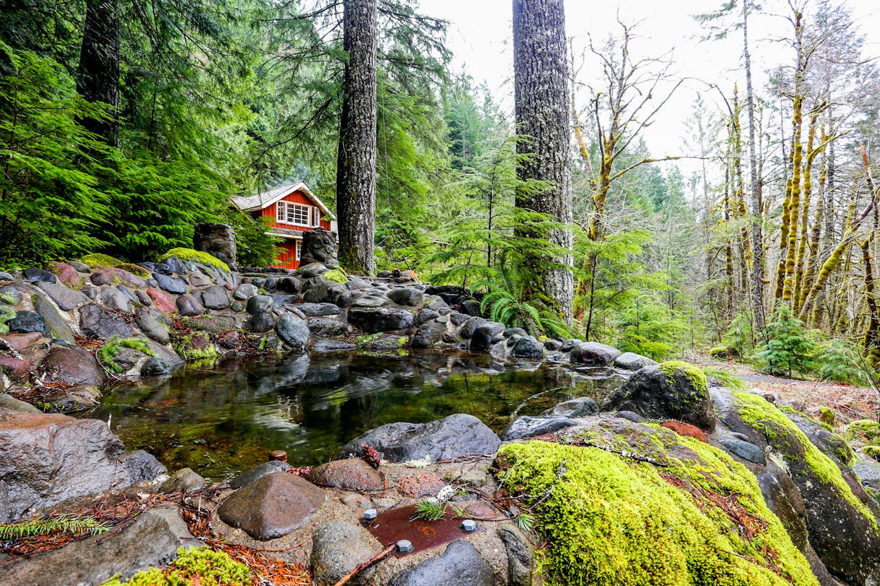 Swedish Stuga Vacation Rental 2 BD Vacation Rental in Rhododendron