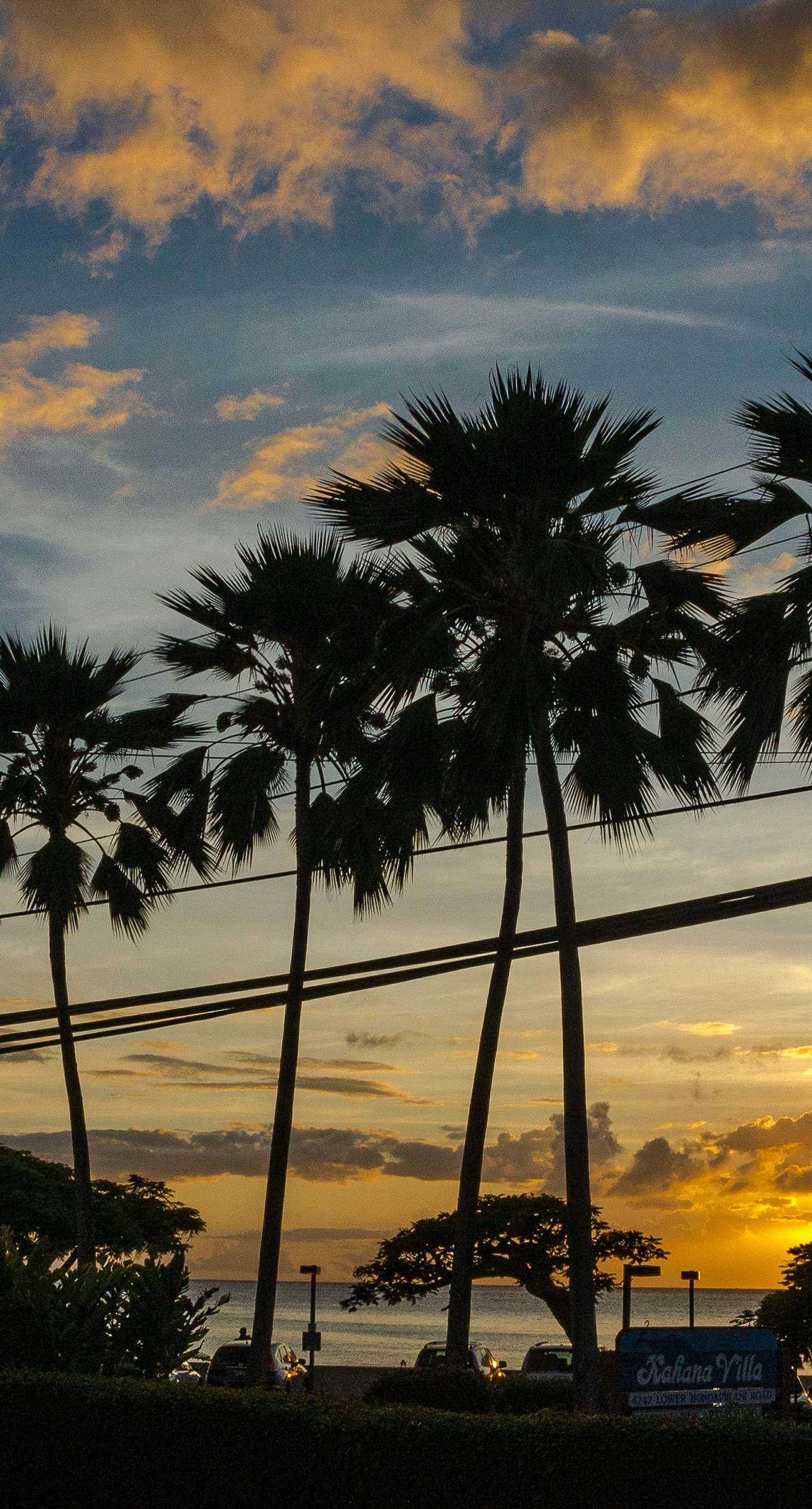 Kaanapali Royal F303