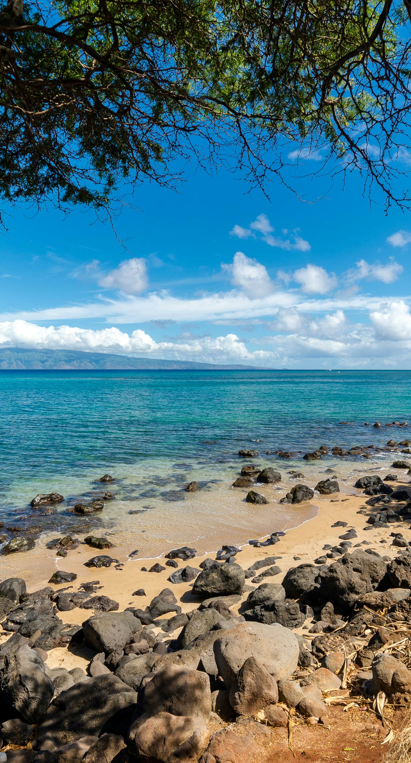 Kaanapali Royal F303