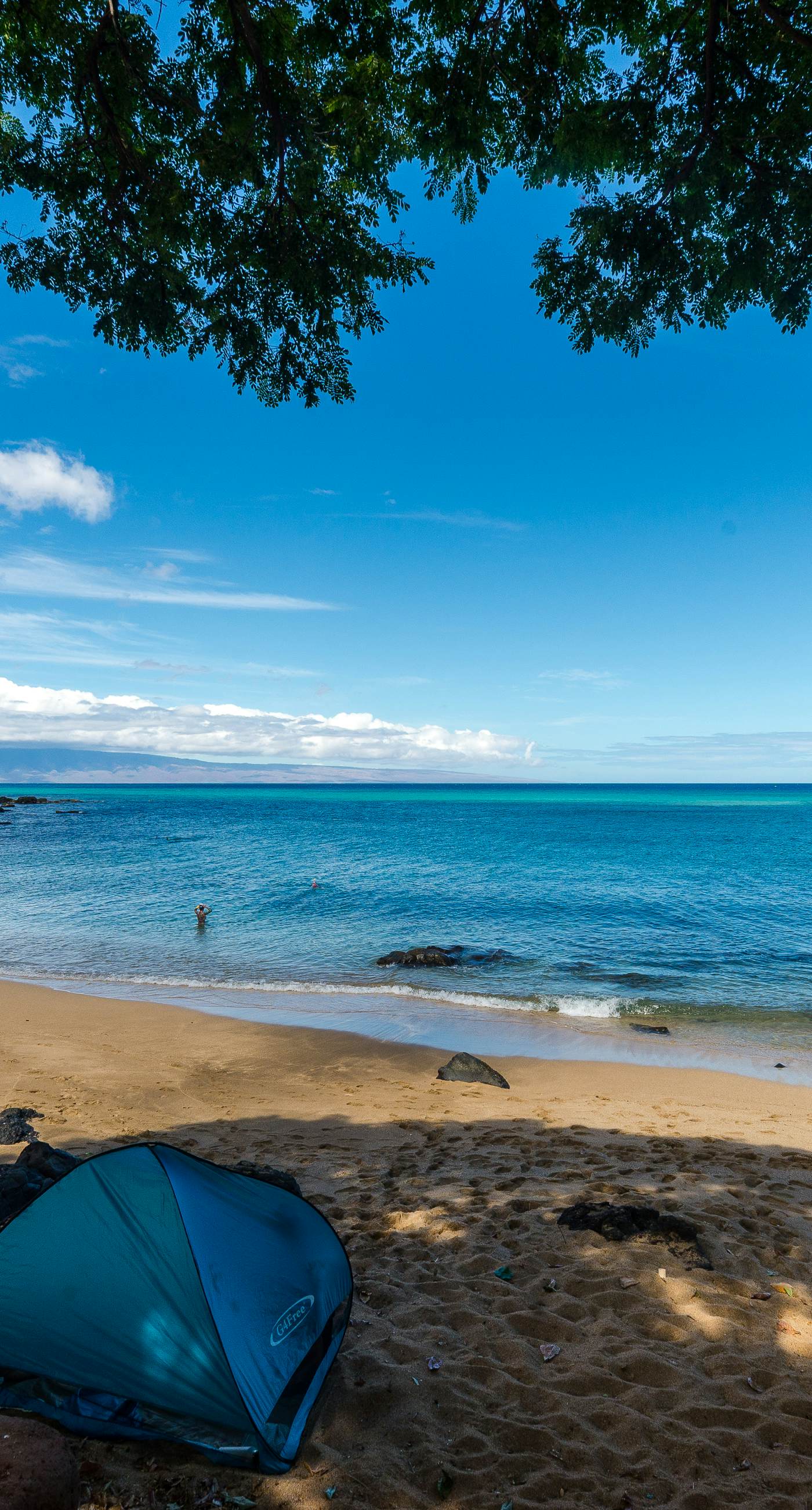 Kaanapali Royal F303