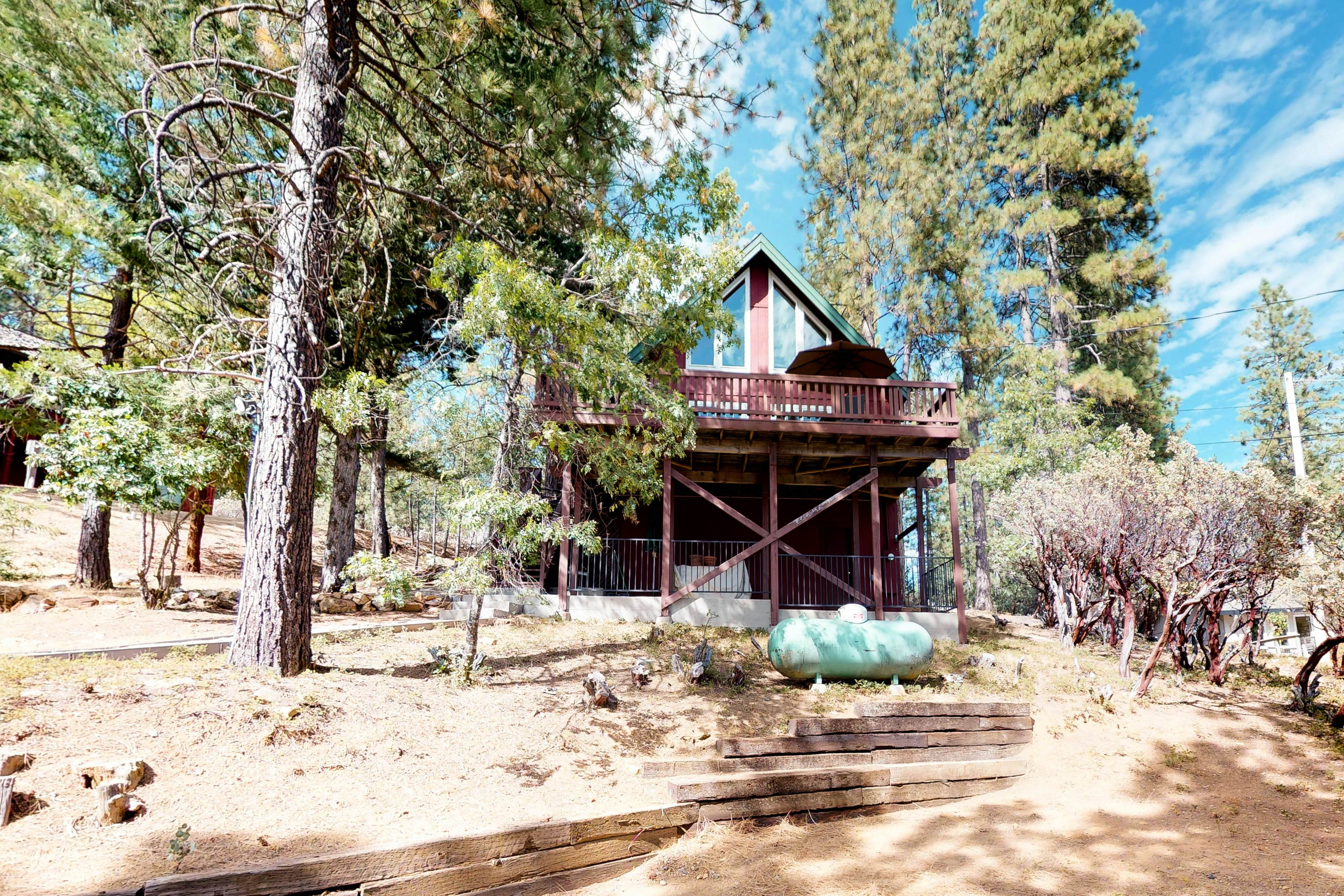 Forest Bears Hideout