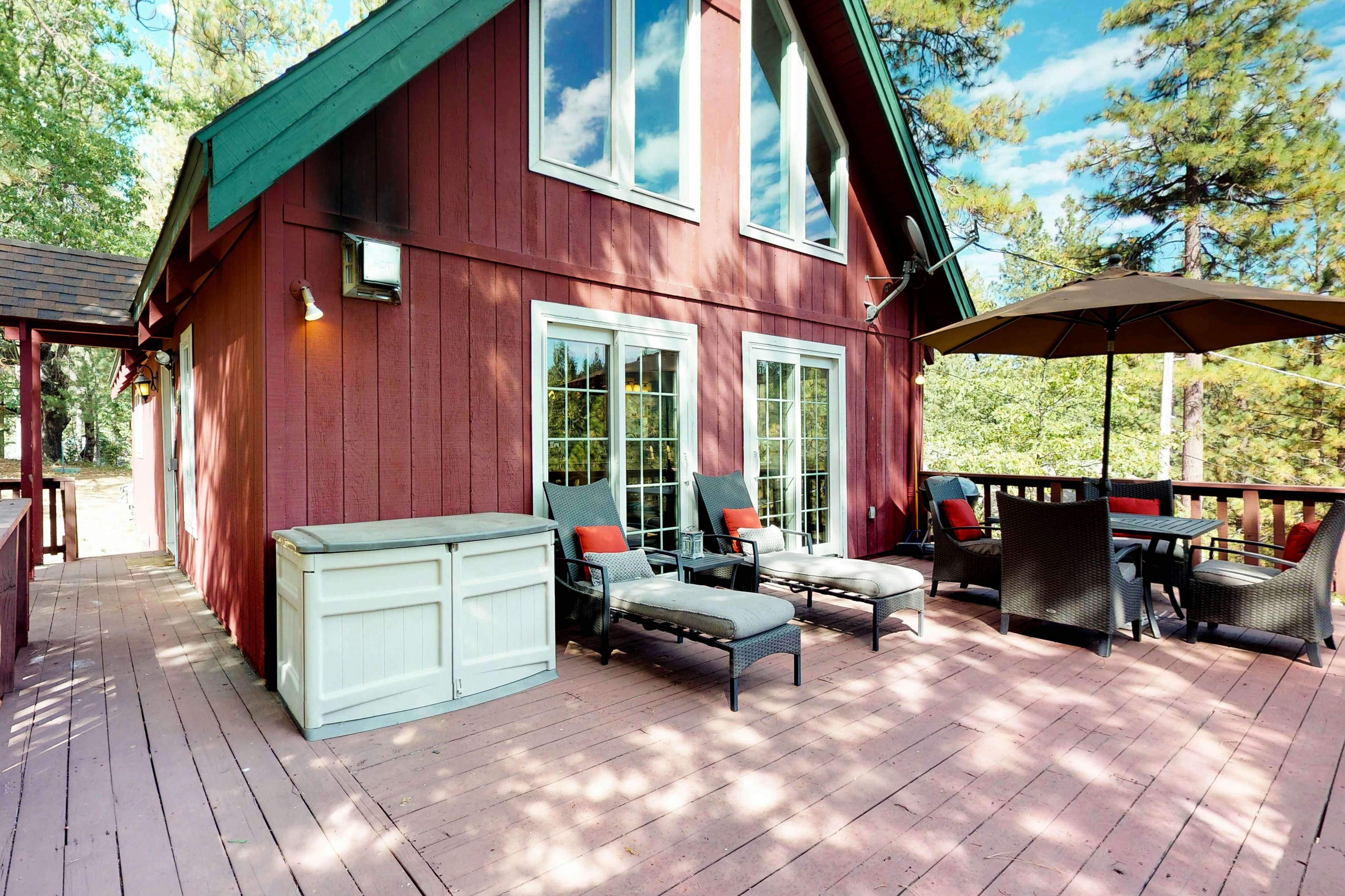 Forest Bears Hideout