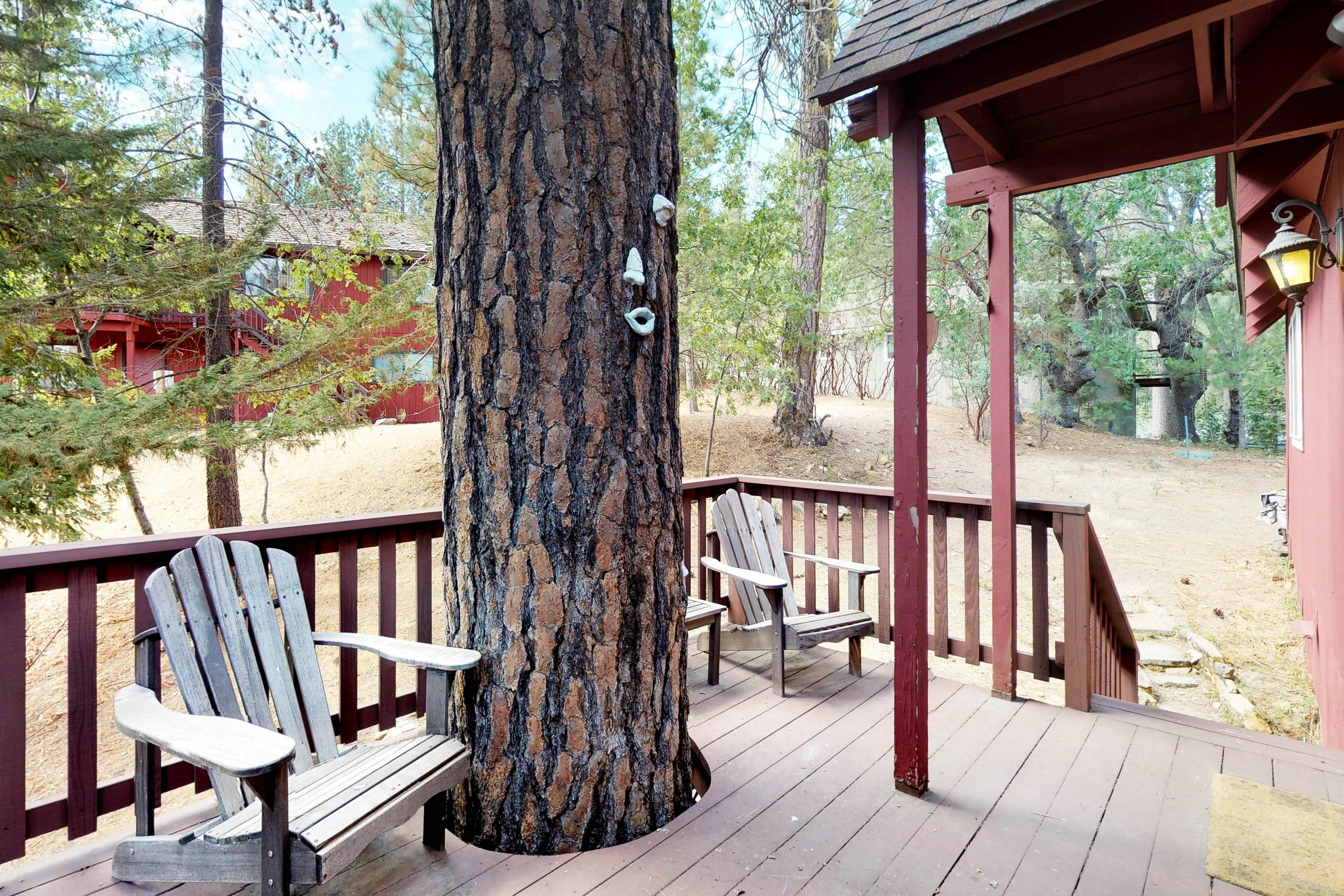 Forest Bears Hideout