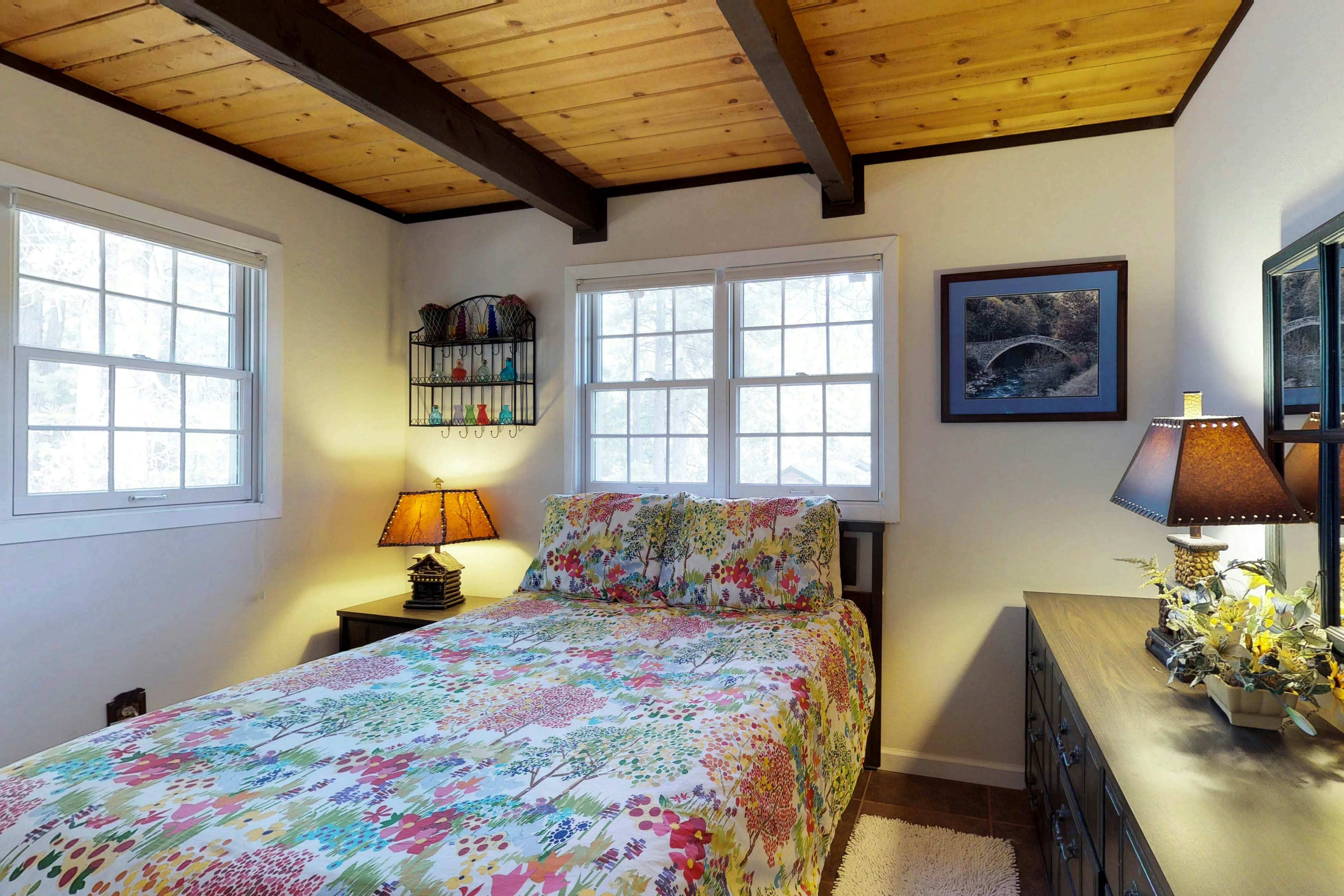 Forest Bears Hideout