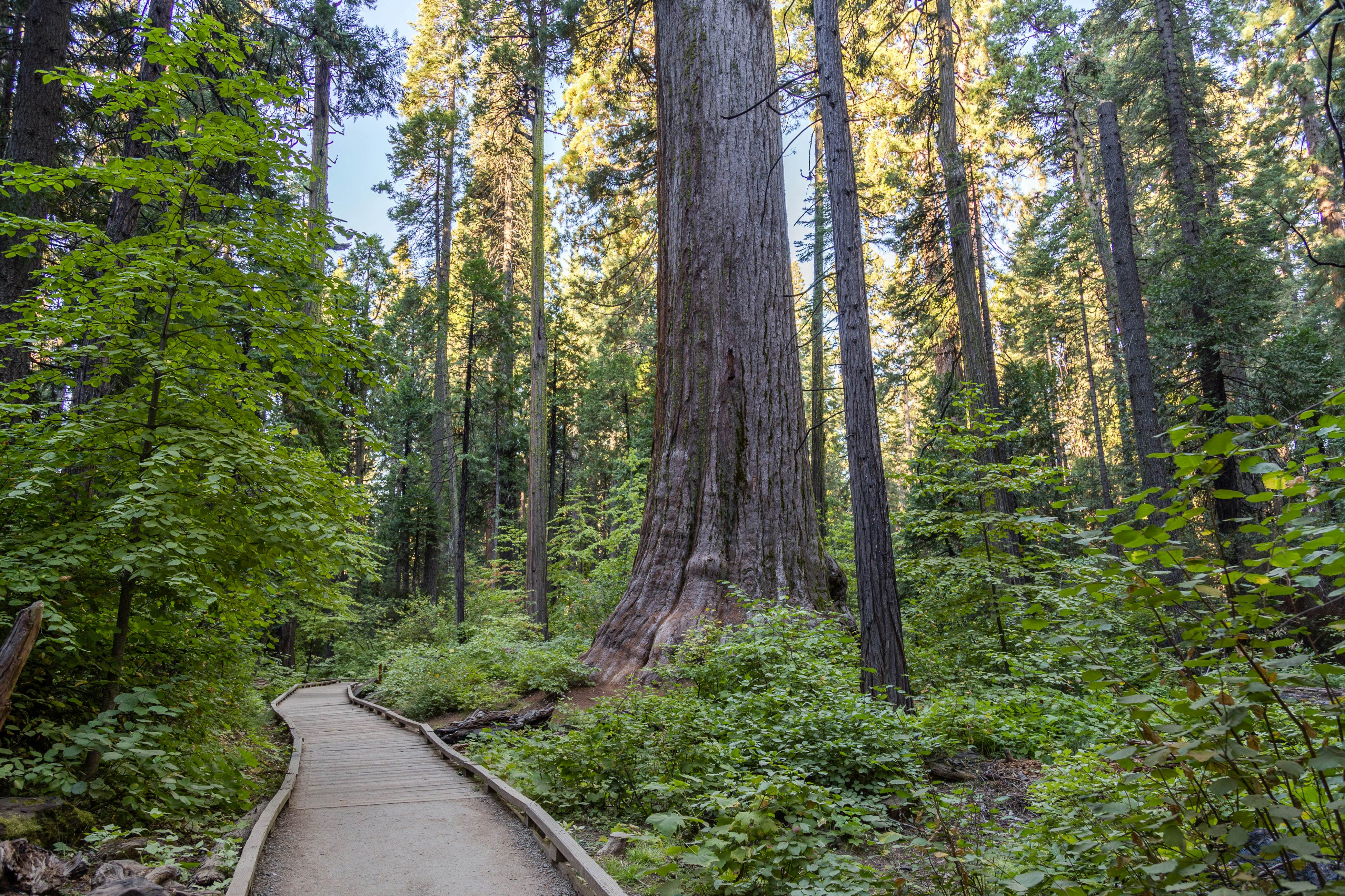 Stiles Mountain Hideaway