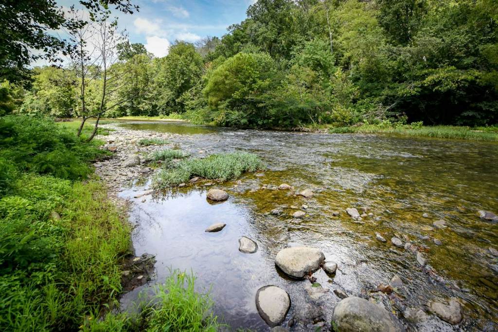 Cades Cove Landing Condo Little River Loft 0 BD Townsend, TN