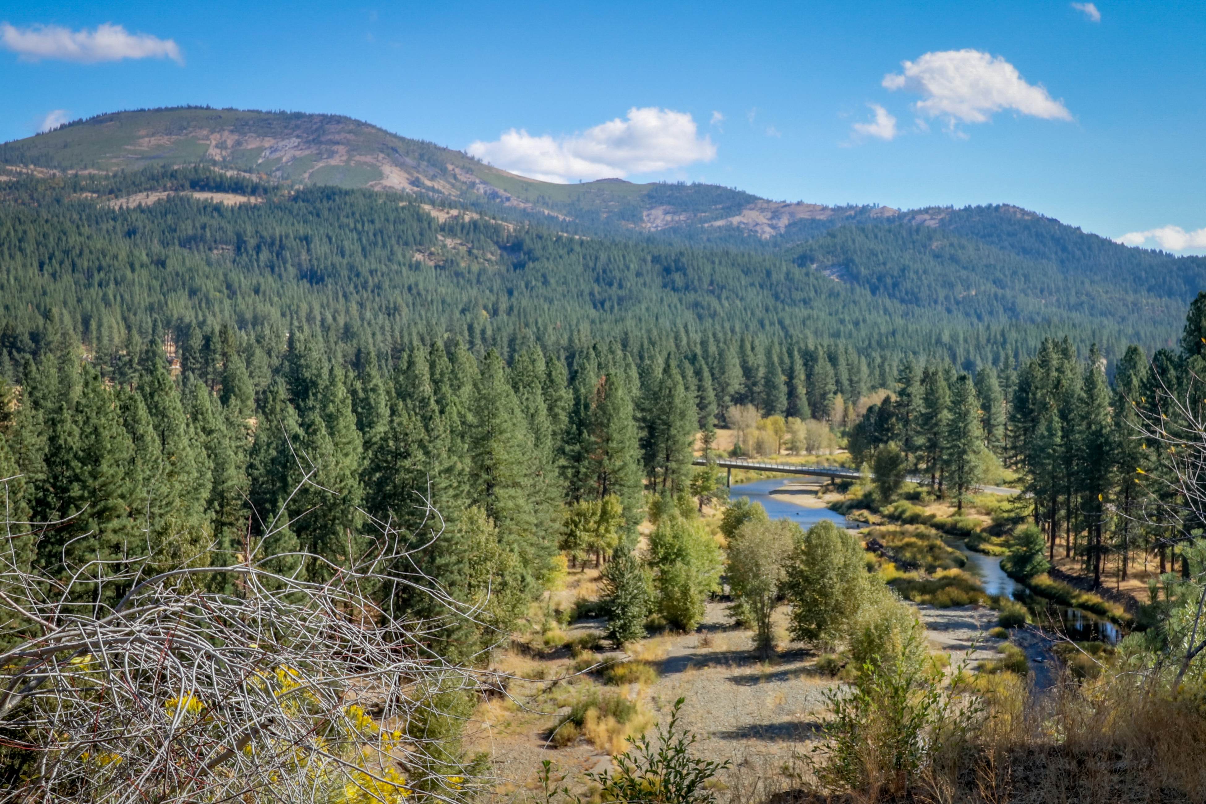 Plumas National Forest Cabins, Vacation Rentals Vacasa