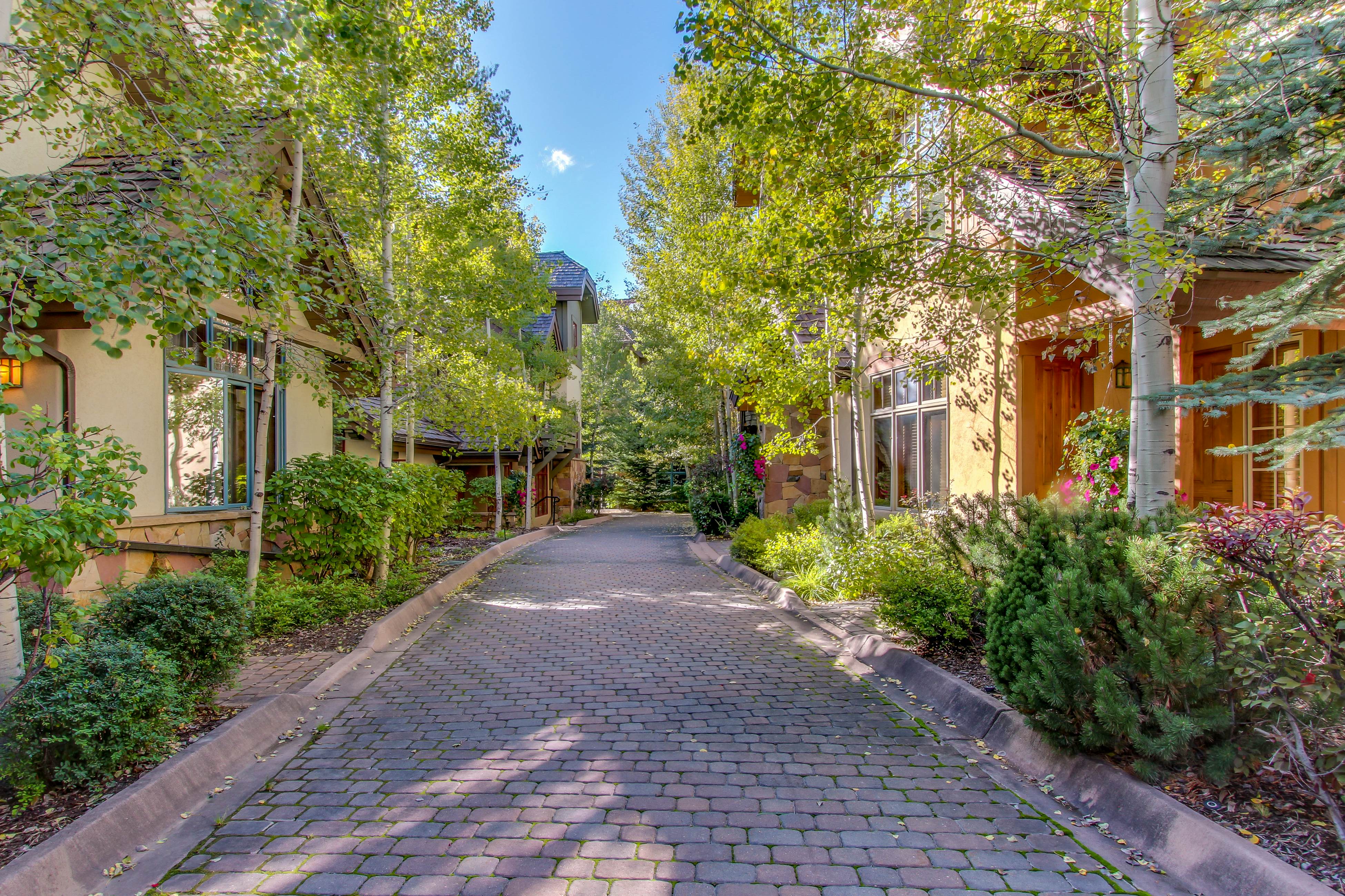 Spruce Tree Lodge #208