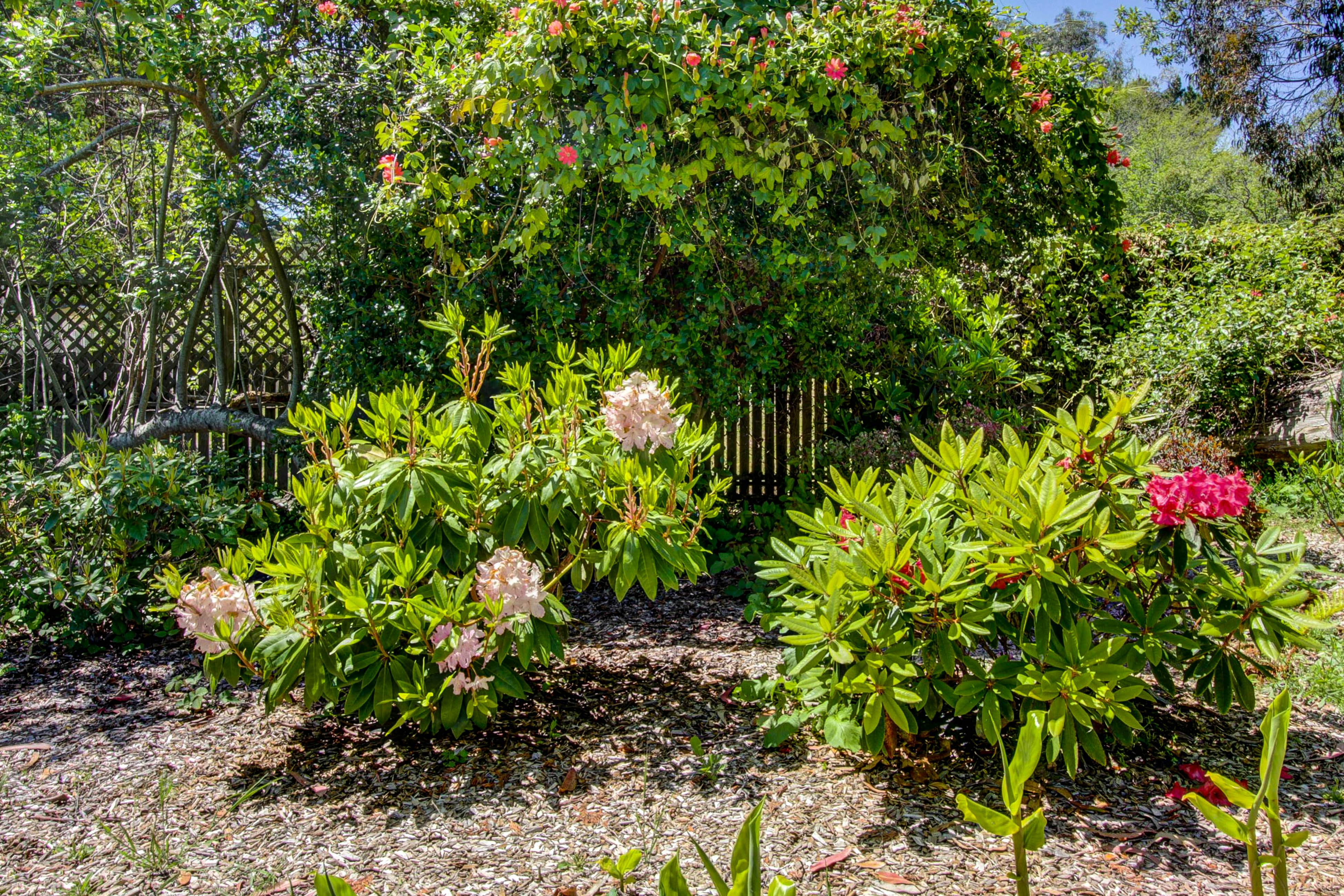 Mendocino Dunes Dune Flower 1 BD Fort Bragg, CA Vacation Rental