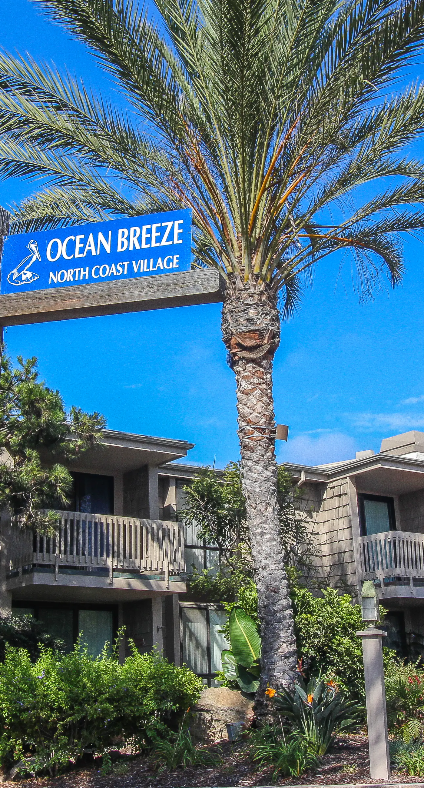 North Coast Village B217 1 BD Oceanside, CA Vacation Rental Vacasa