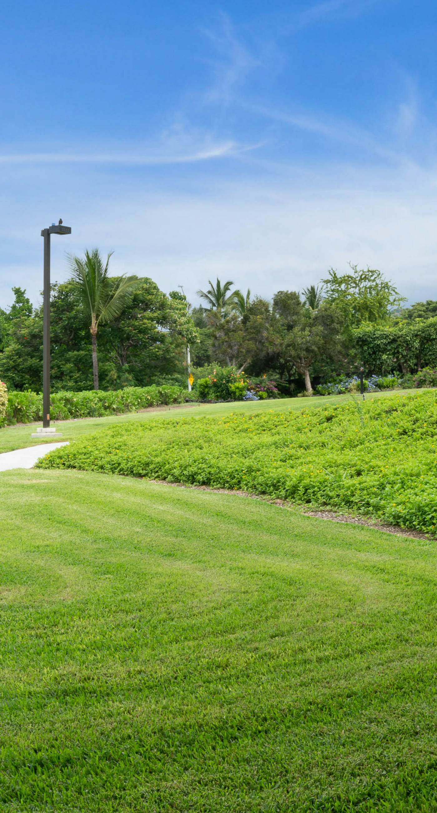 Keauhou Punahele B101