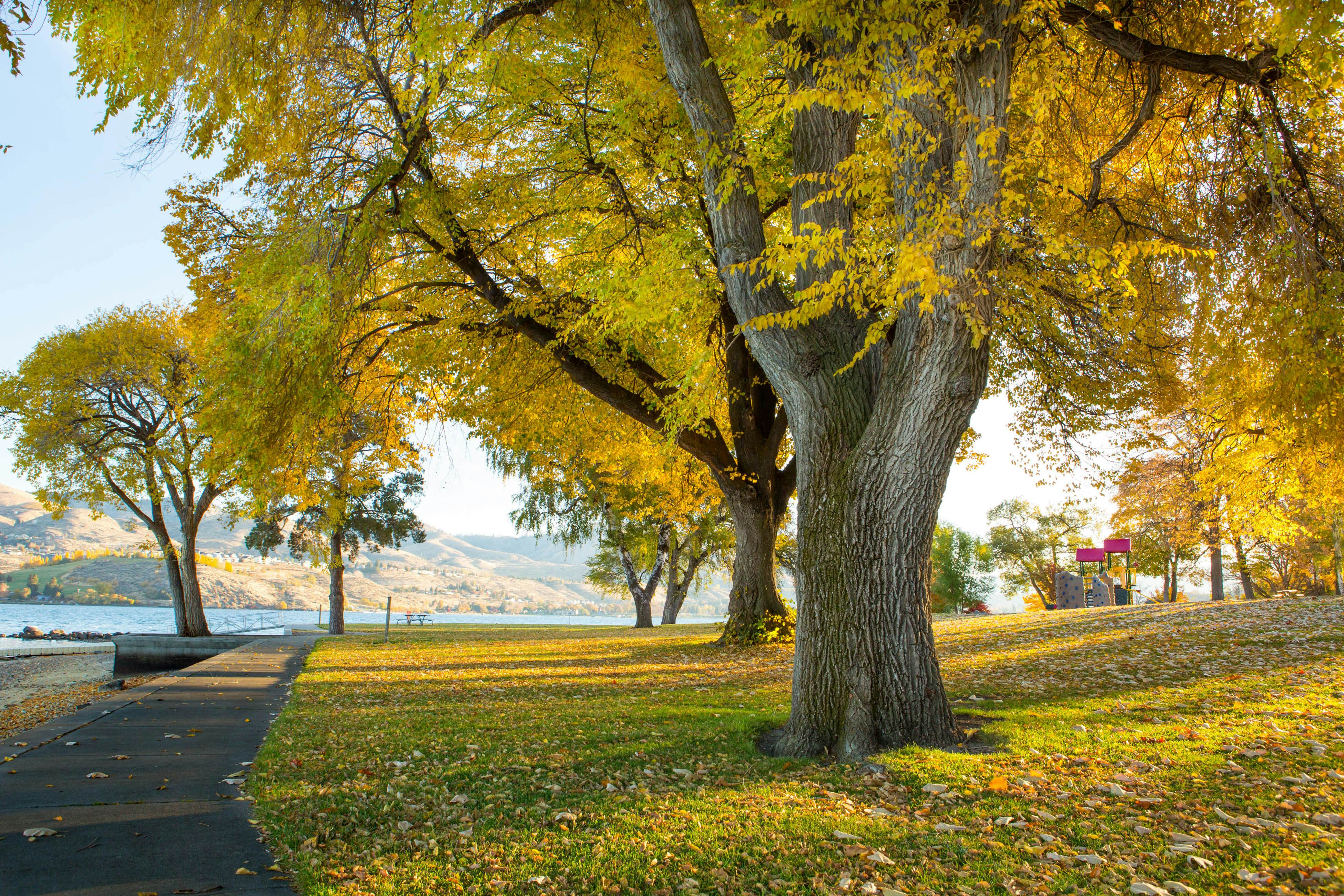 Chelan Resort Suites - #409 Suite Views 409