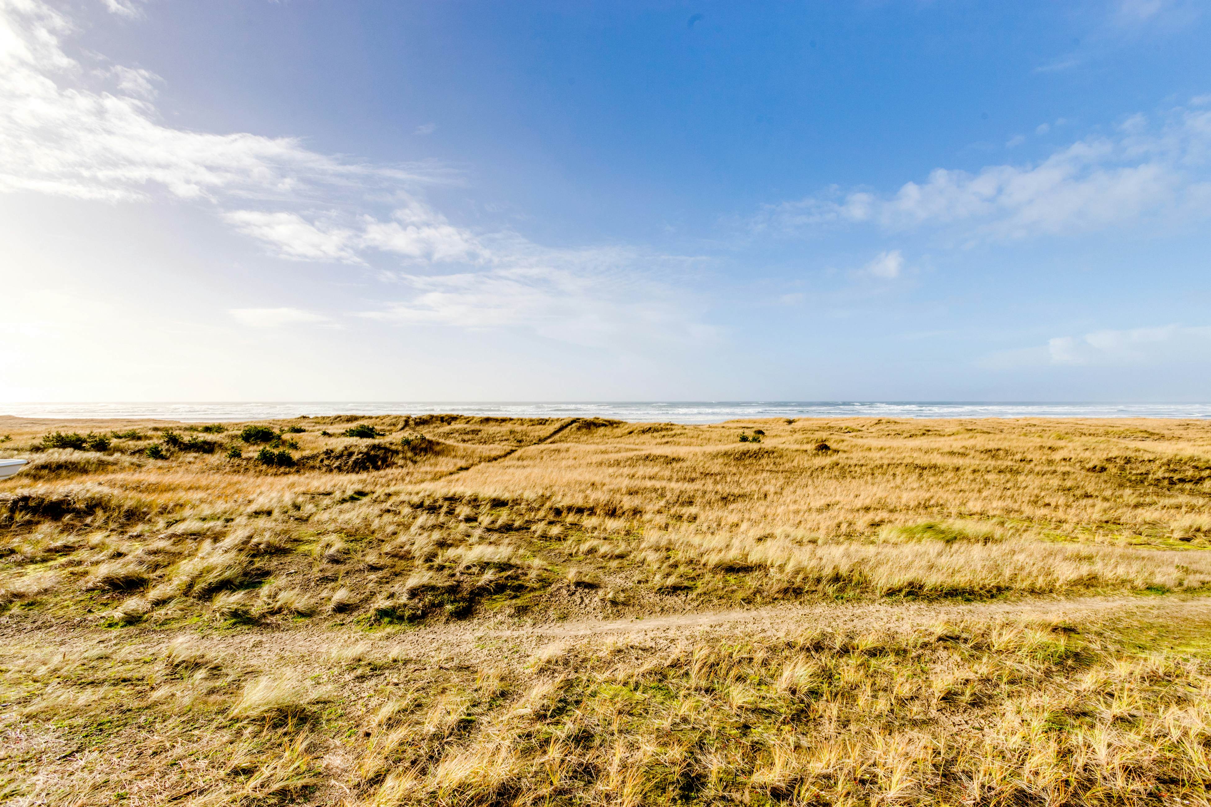 Frannie's Beachfront
