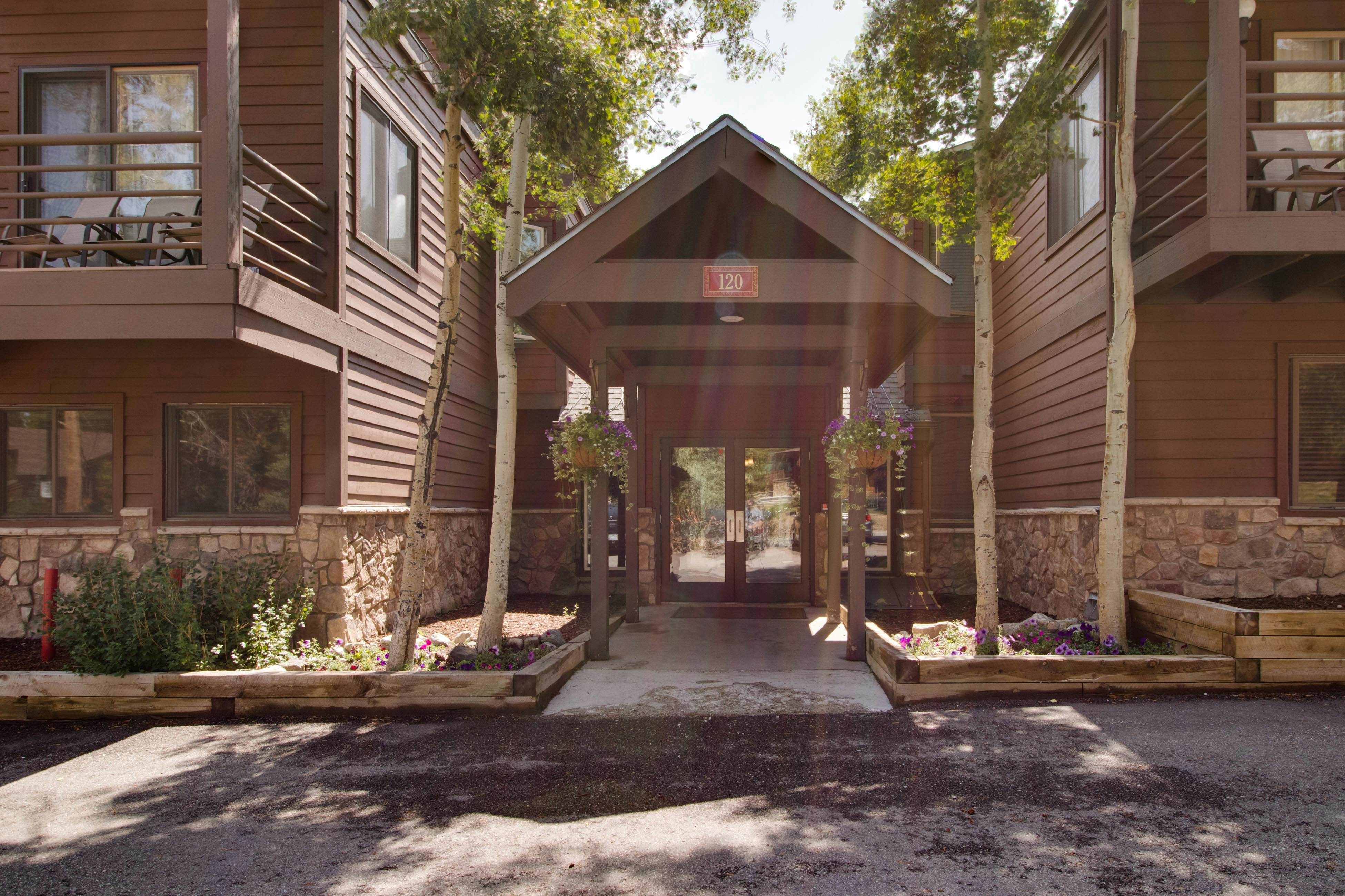 Wild and Free Condo 102