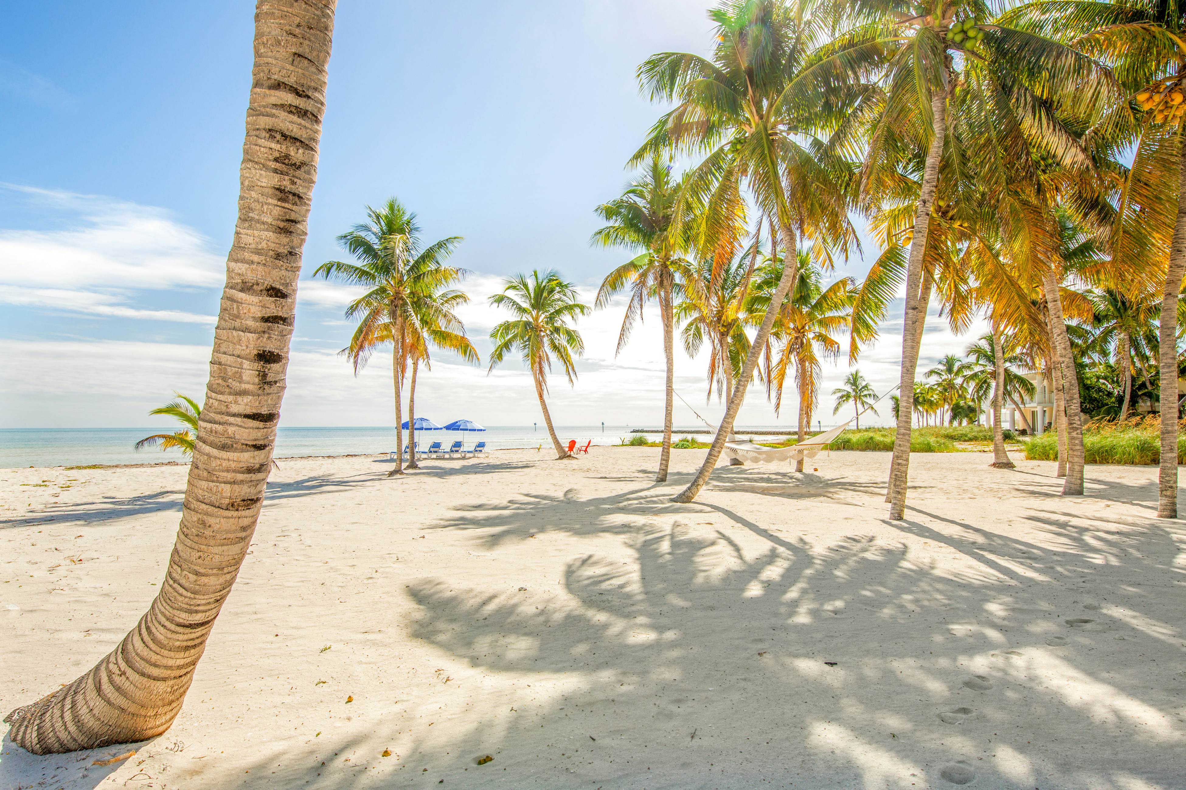 Paradise Beach 3 BD Islamorada, FL Vacation Rental Vacasa