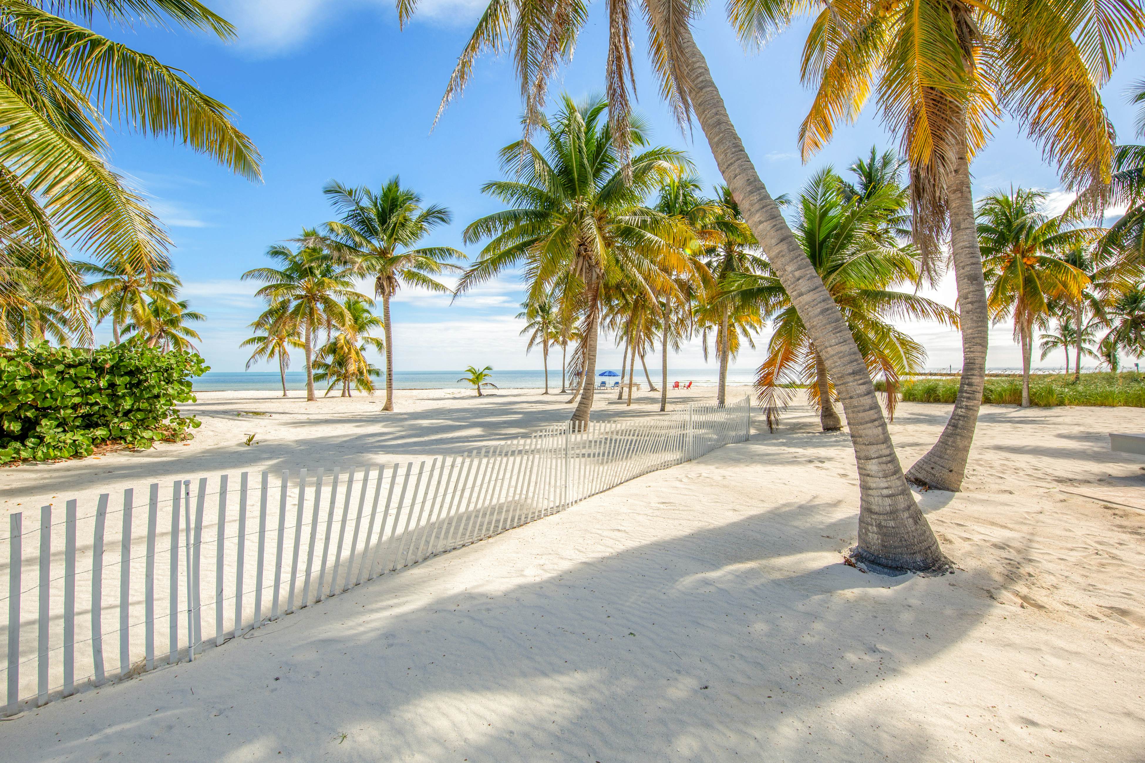 Paradise Beach 3 BD Islamorada, FL Vacation Rental Vacasa