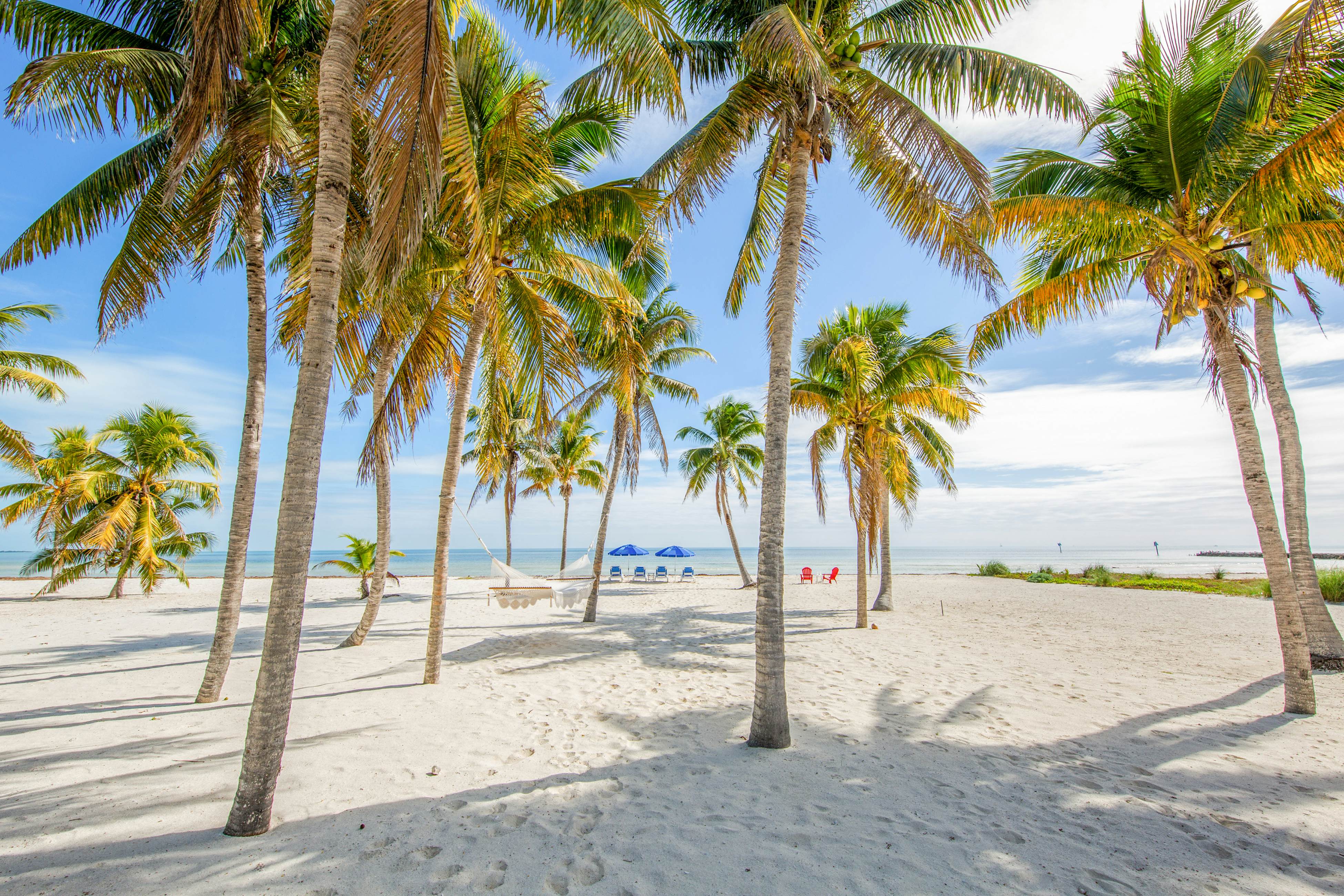 Paradise Beach 3 BD Islamorada, FL Vacation Rental Vacasa