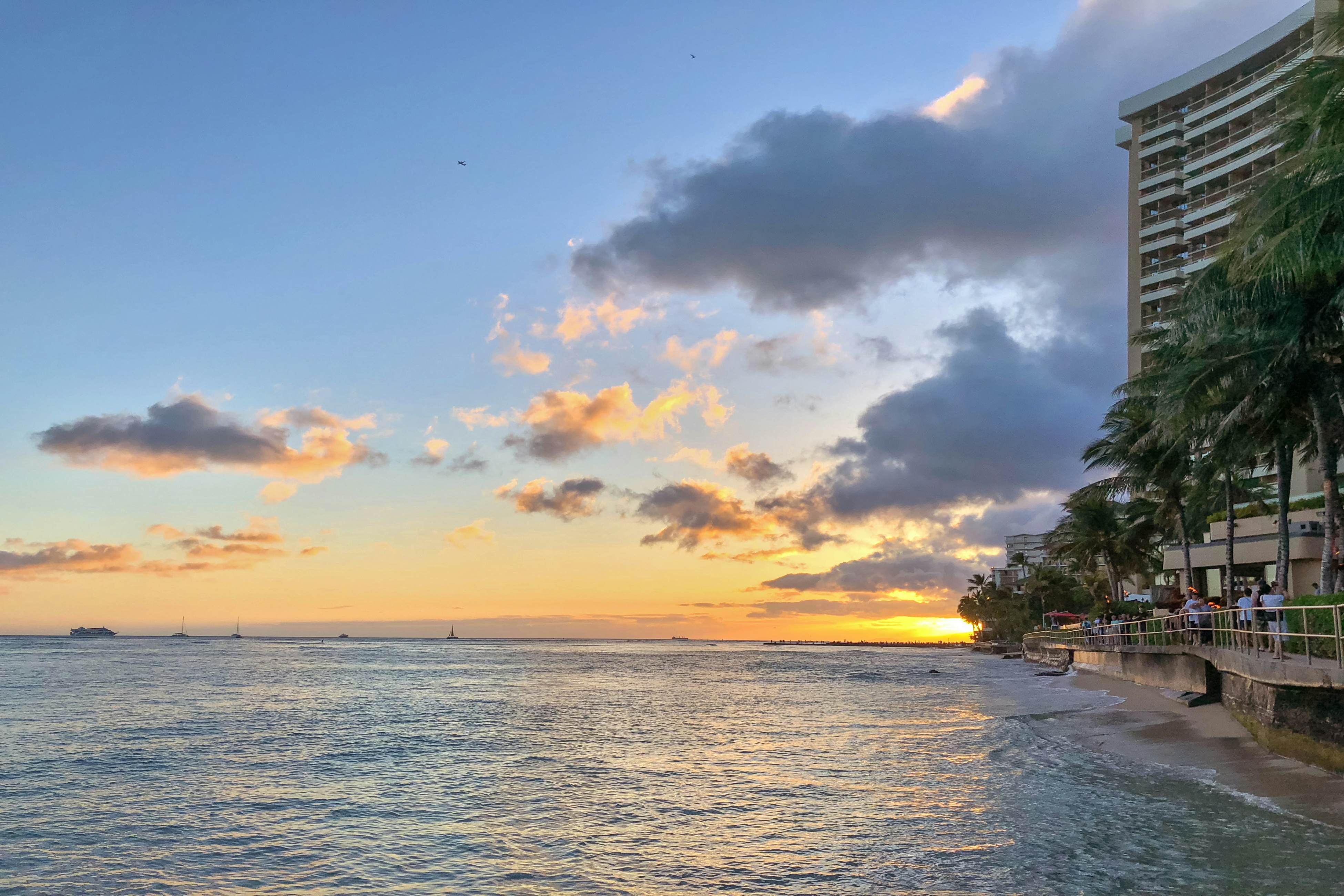Palms at Waikiki 219