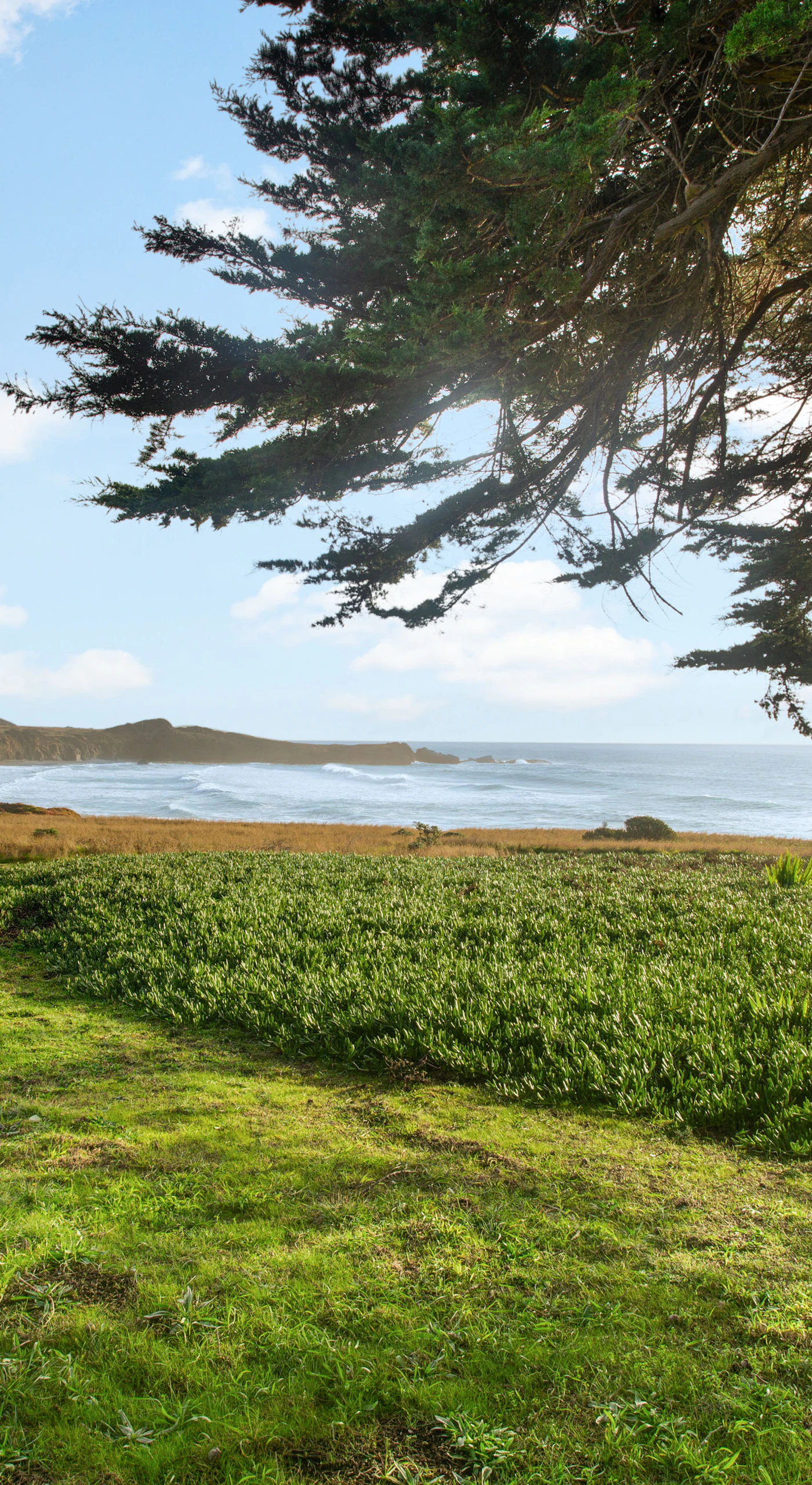Enjoy the expansive oceanfront view, where gentle waves and vibrant landscapes create a serene escape.