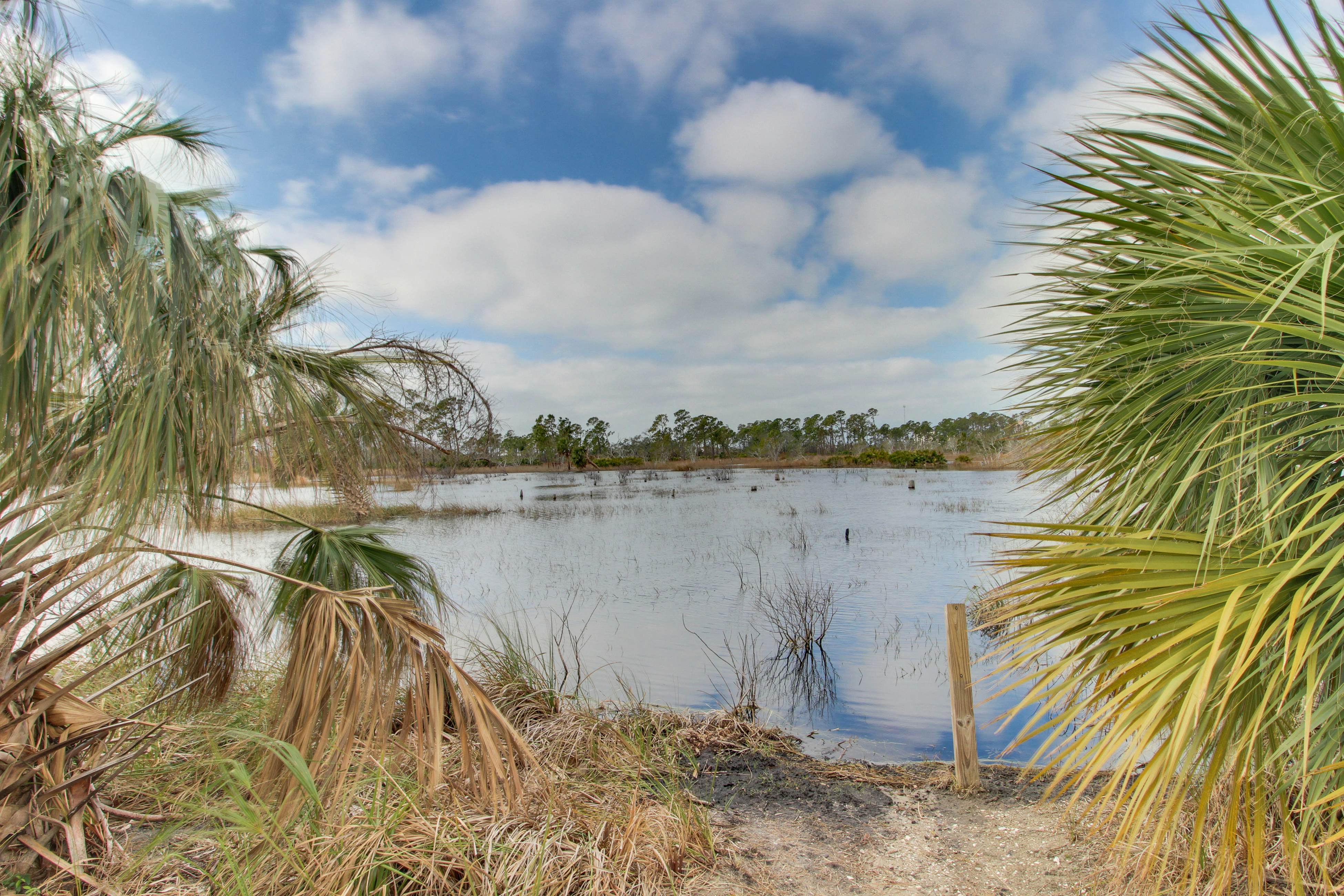Dunes of Panama 2005E