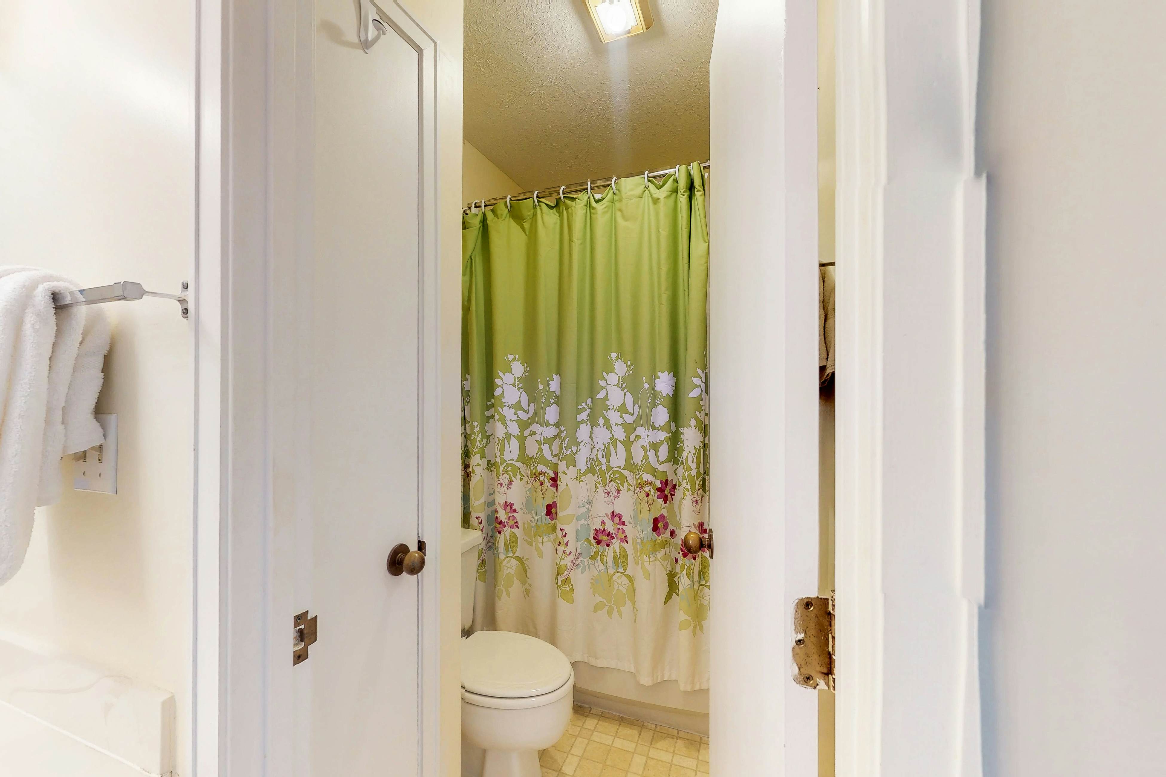 Arcadian Dunes 02-208