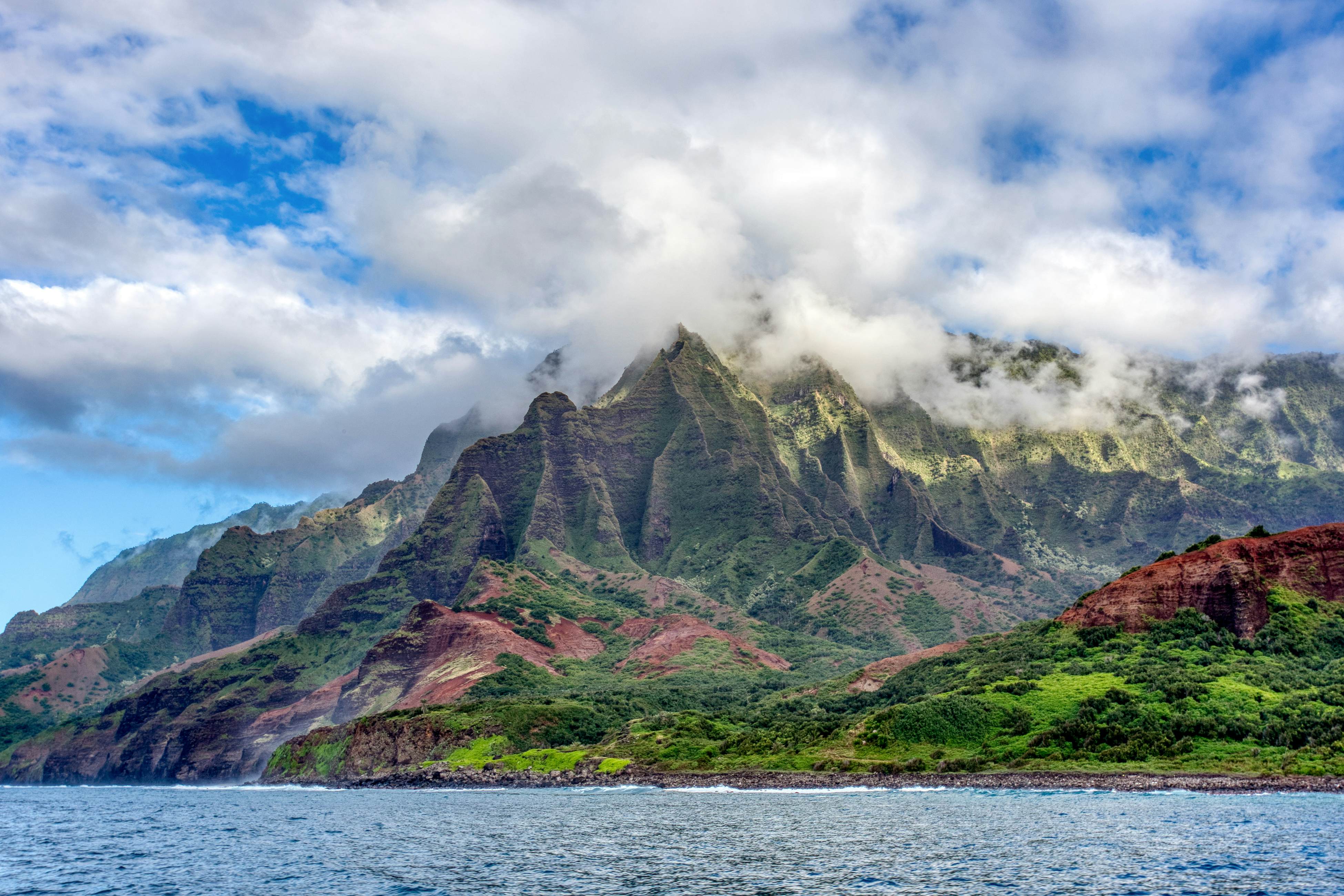 Kahu 'lo - Guardian Hawk