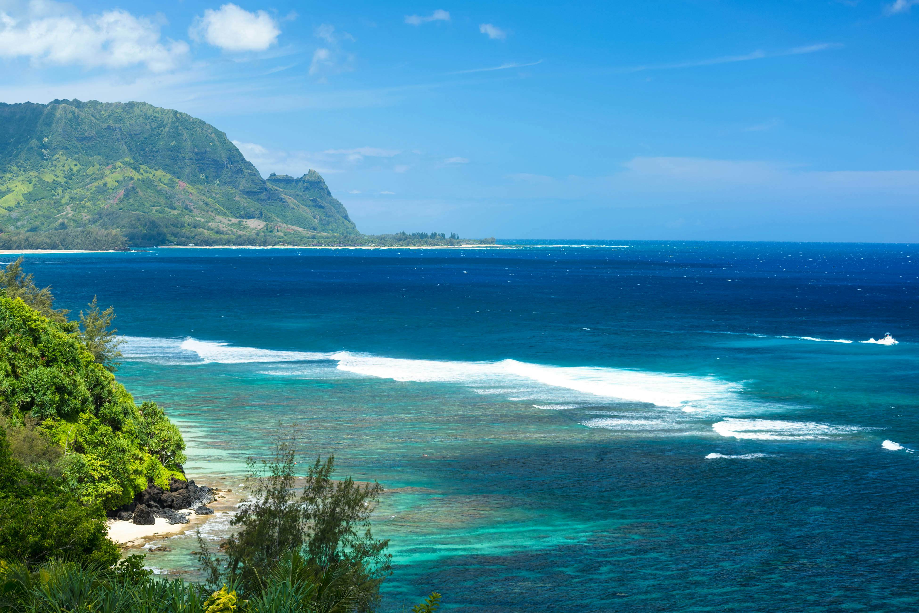 Kahu 'lo - Guardian Hawk