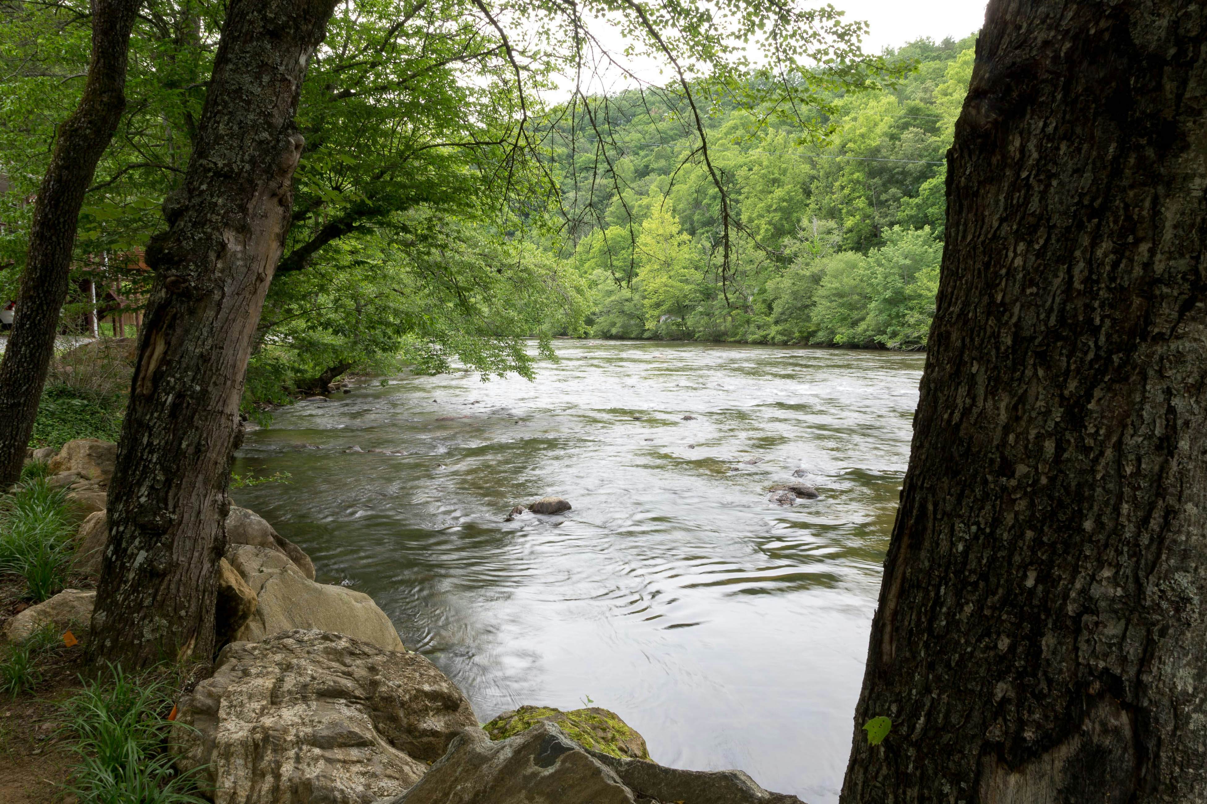 Above the River 3 BD Sylva, NC Vacation Rental Vacasa