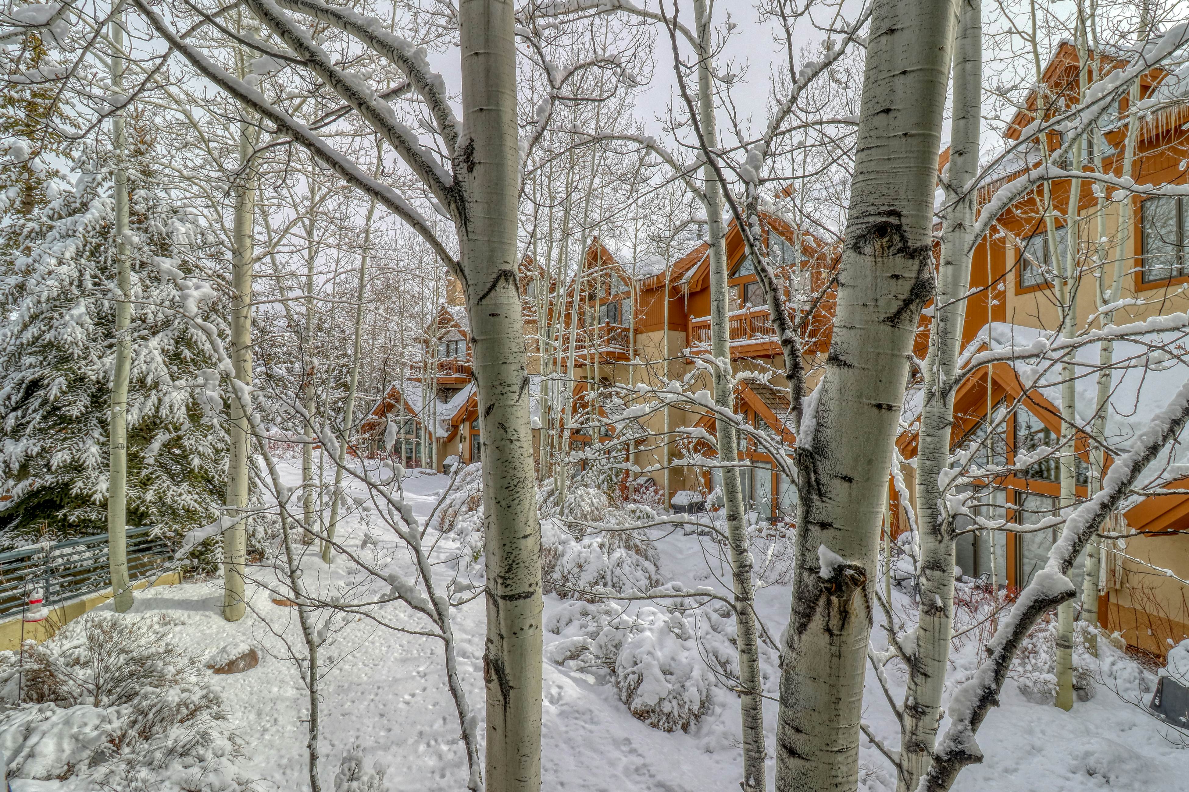 Spruce Tree Lodge #208