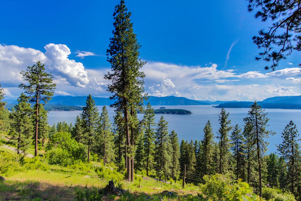 Lake Pend Oreille Vacation Rentals Cabin Rentals Vacasa