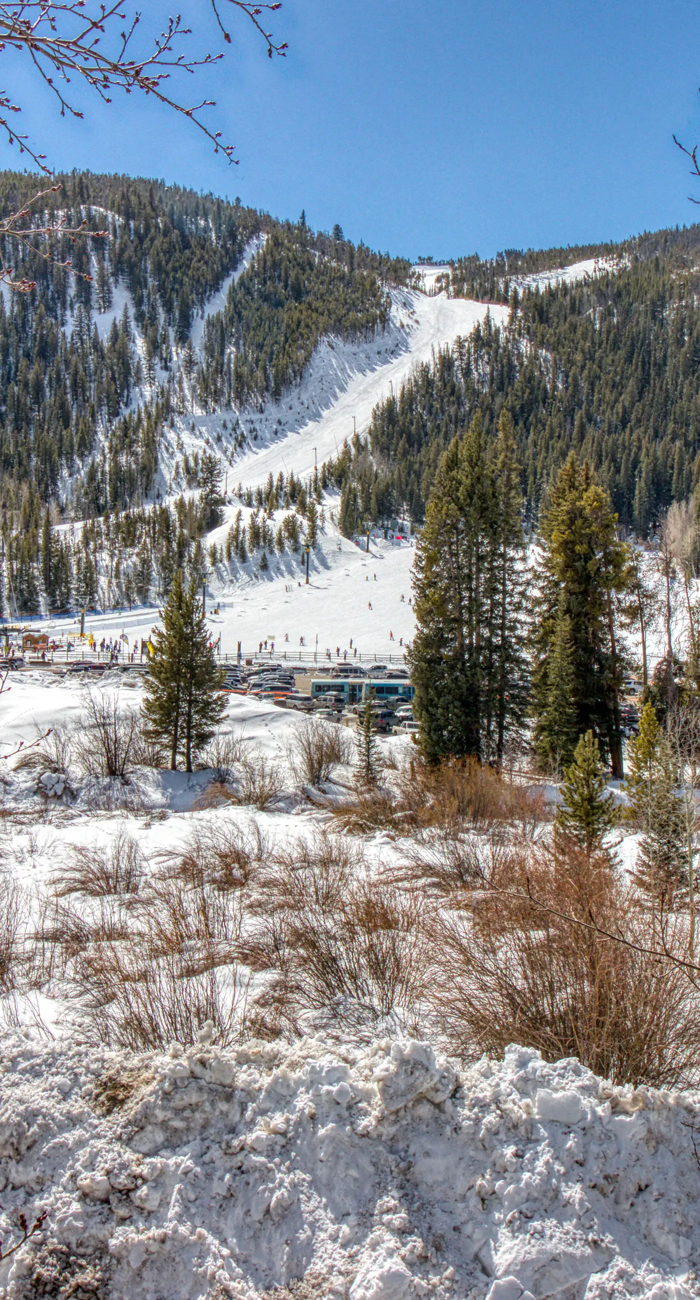 Tenderfoot Lodge 2621